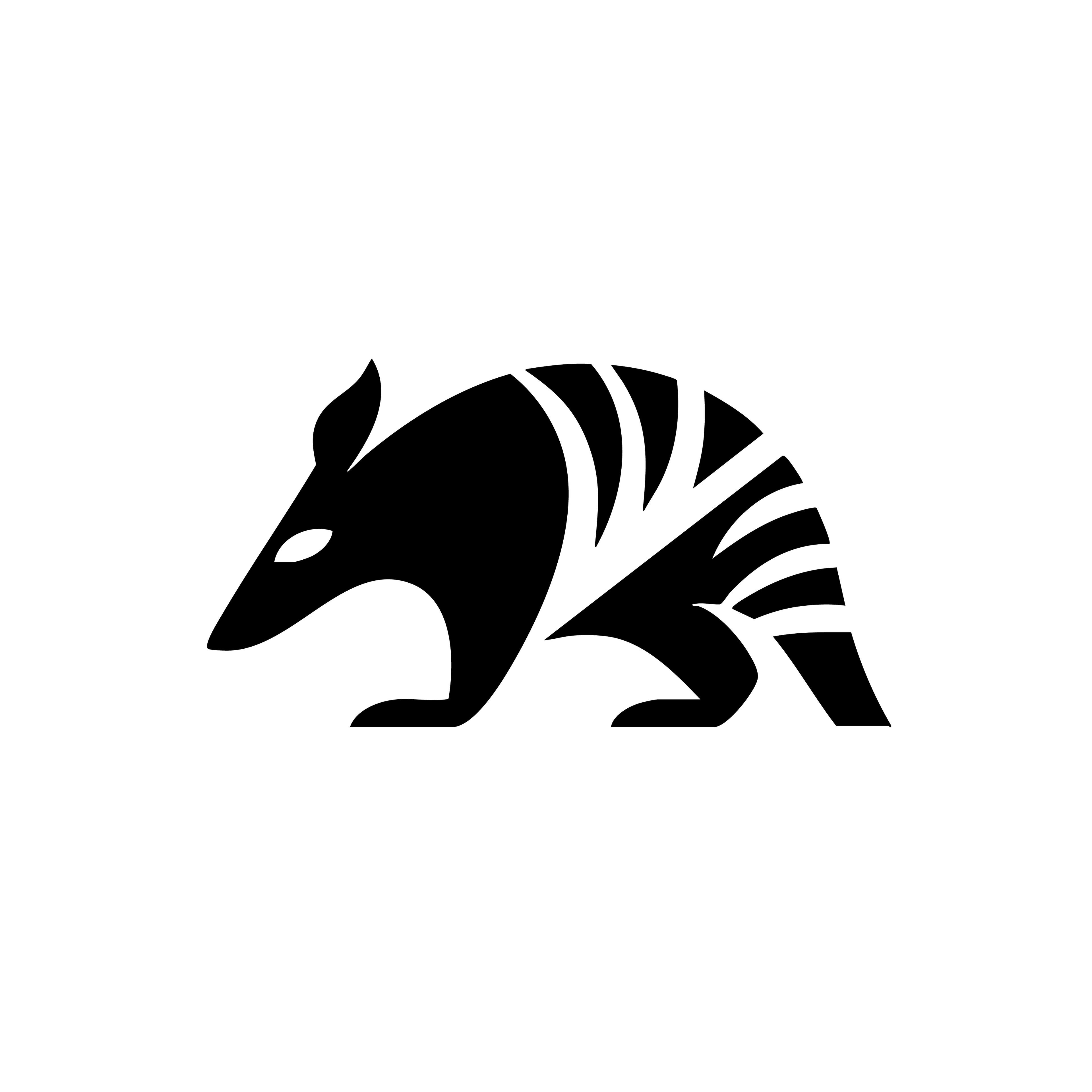 Vinyl Decal / Laptop Sticker/ Car Decal / Phone Sticker Armadillo