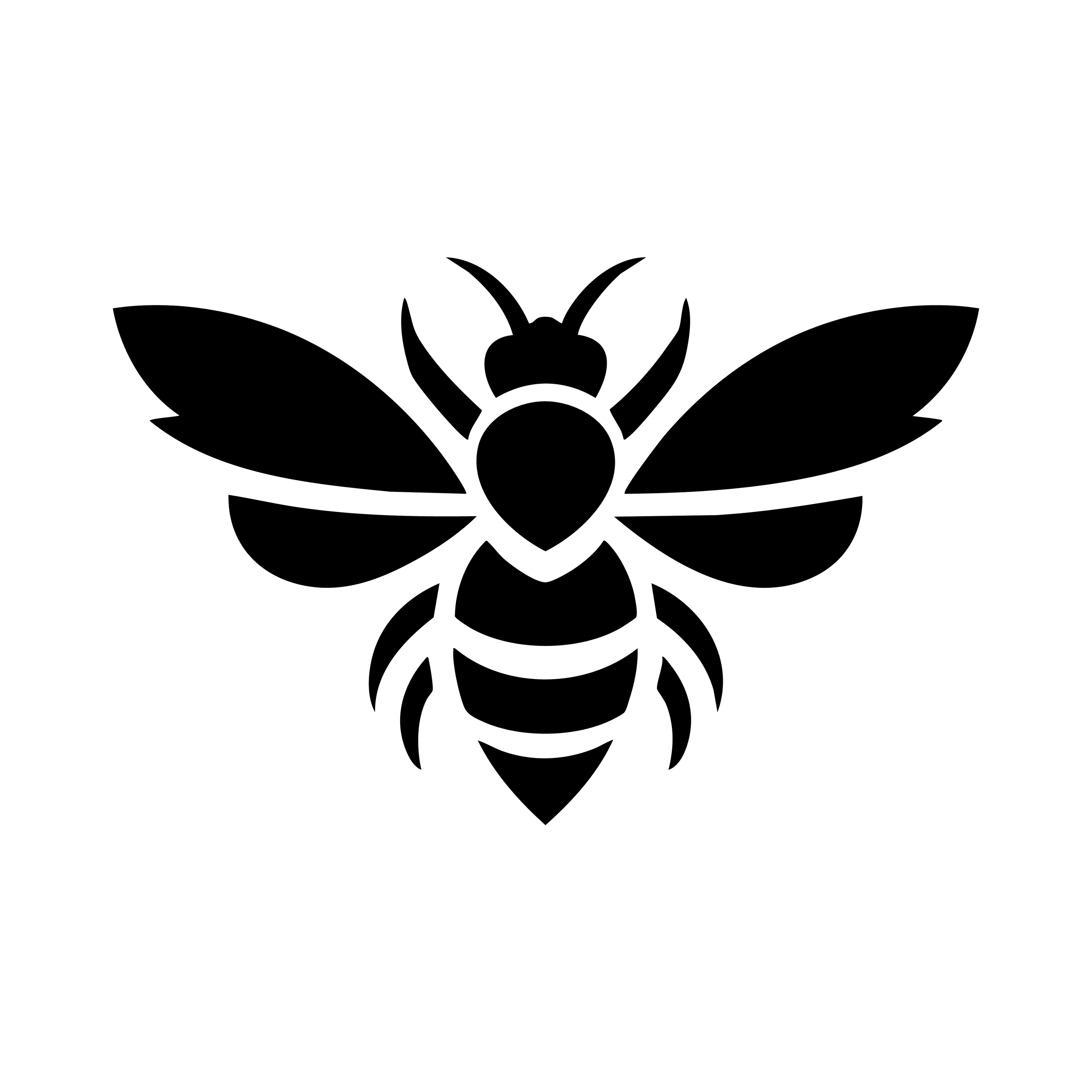 Vinyl Decal / Laptop Sticker/ Car Decal / Phone Sticker Bee