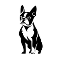Vinyl Decal / Laptop Sticker/ Car Decal / Phone Sticker Boston Terrier