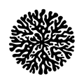 Vinyl Decal / Laptop Sticker/ Car Decal / Phone Sticker Coral