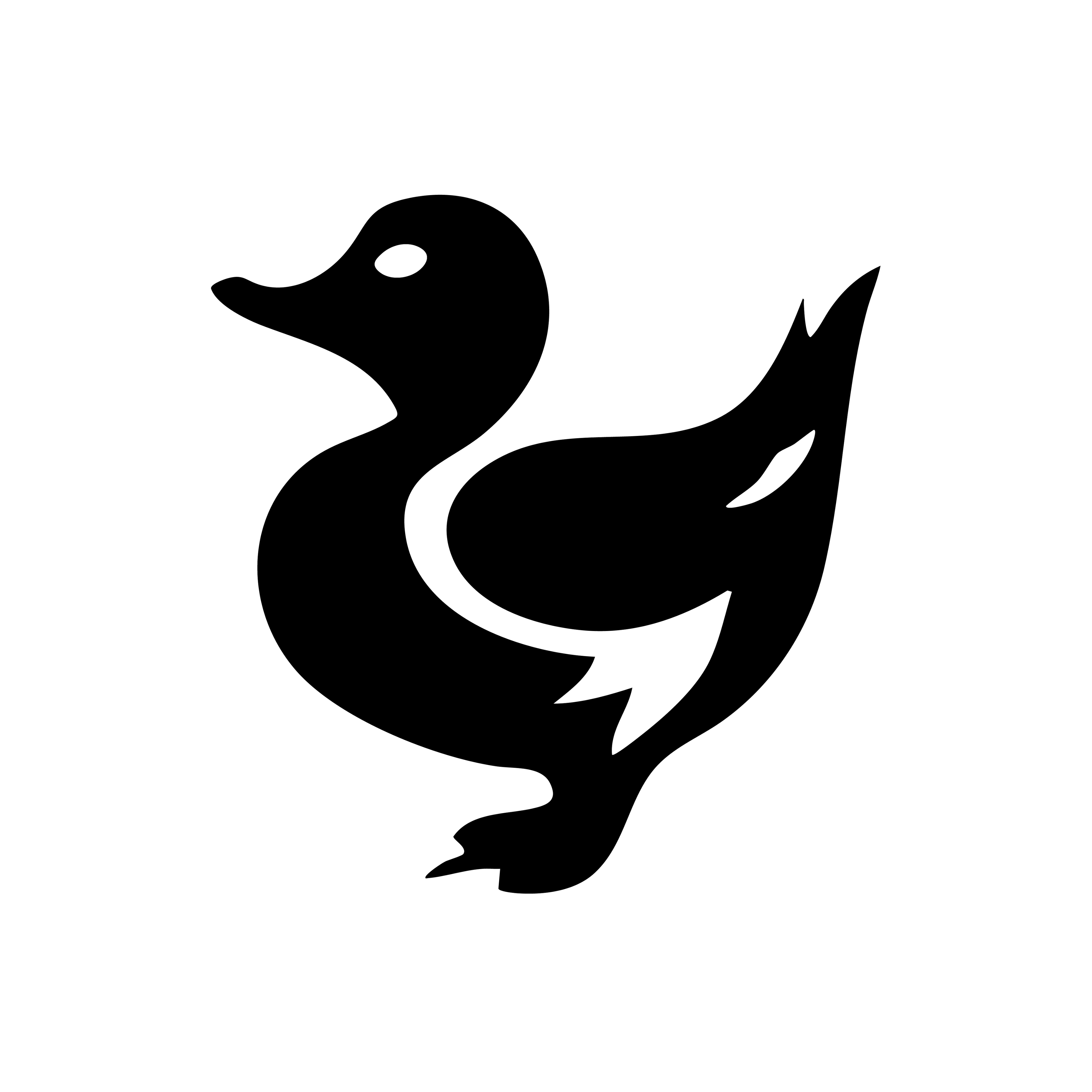 Vinyl Decal / Laptop Sticker/ Car Decal / Phone Sticker Duck