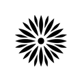 Vinyl Decal / Laptop Sticker/ Car Decal / Phone Sticker Fireworks