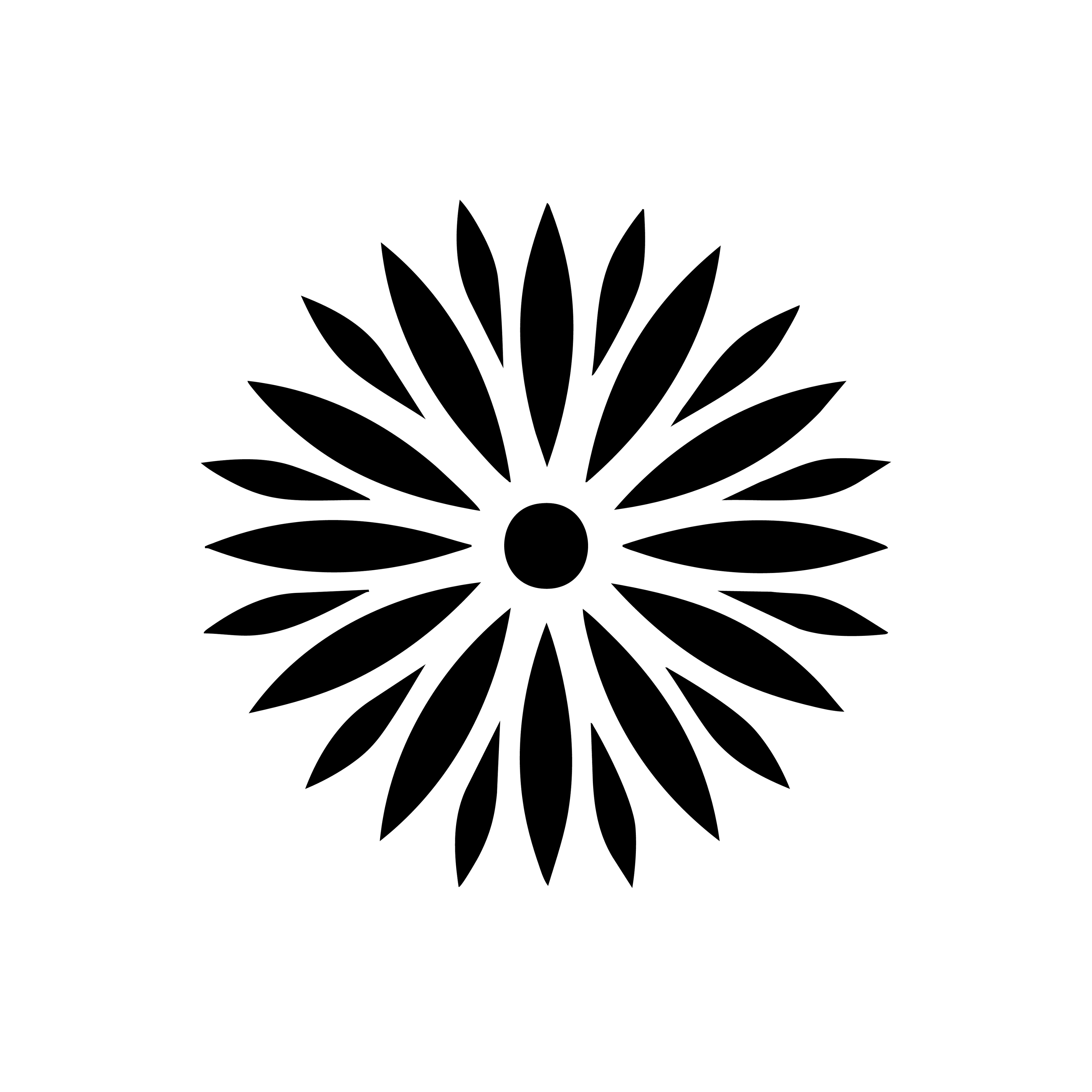Vinyl Decal / Laptop Sticker/ Car Decal / Phone Sticker Fireworks