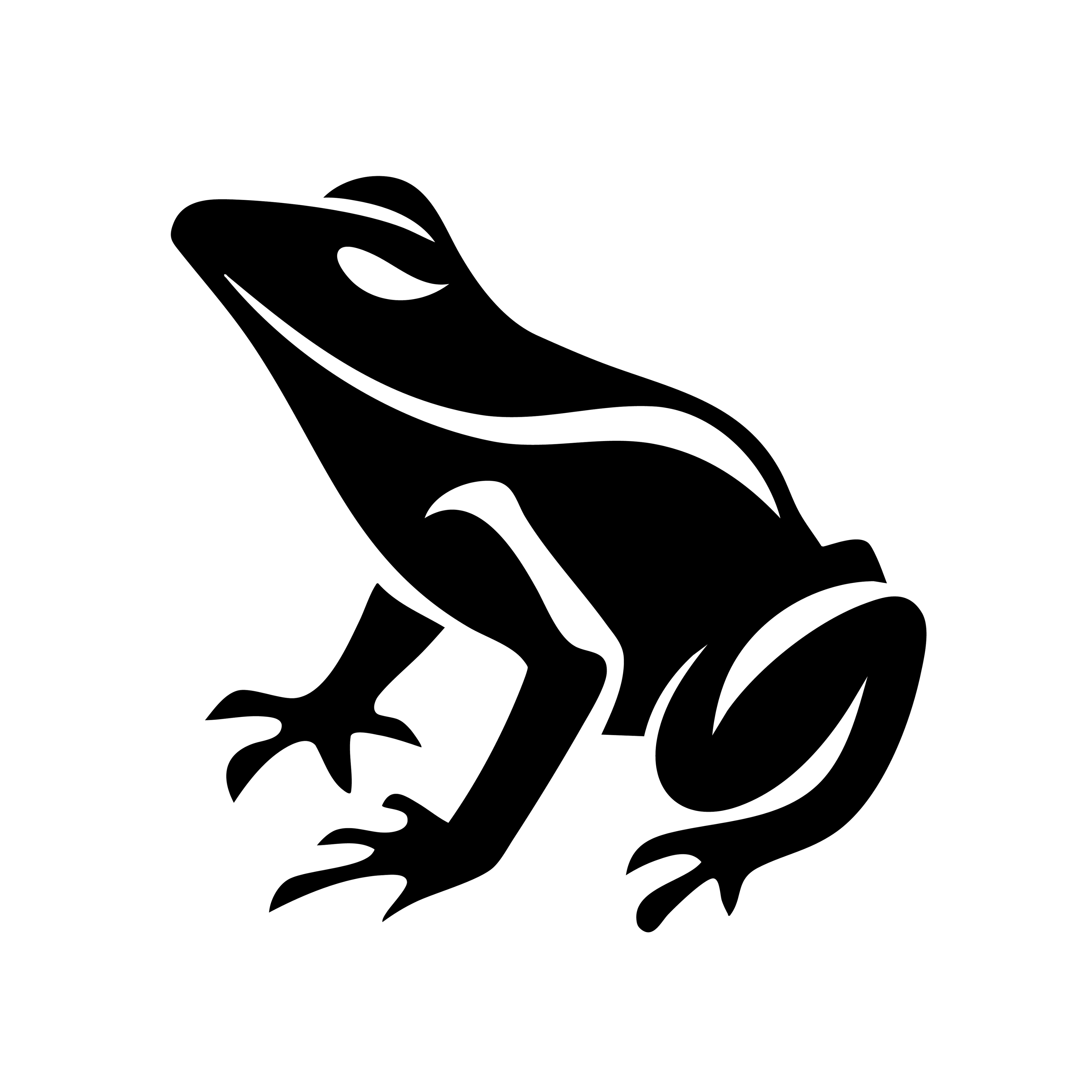 Vinyl Decal / Laptop Sticker/ Car Decal / Phone Sticker Frog