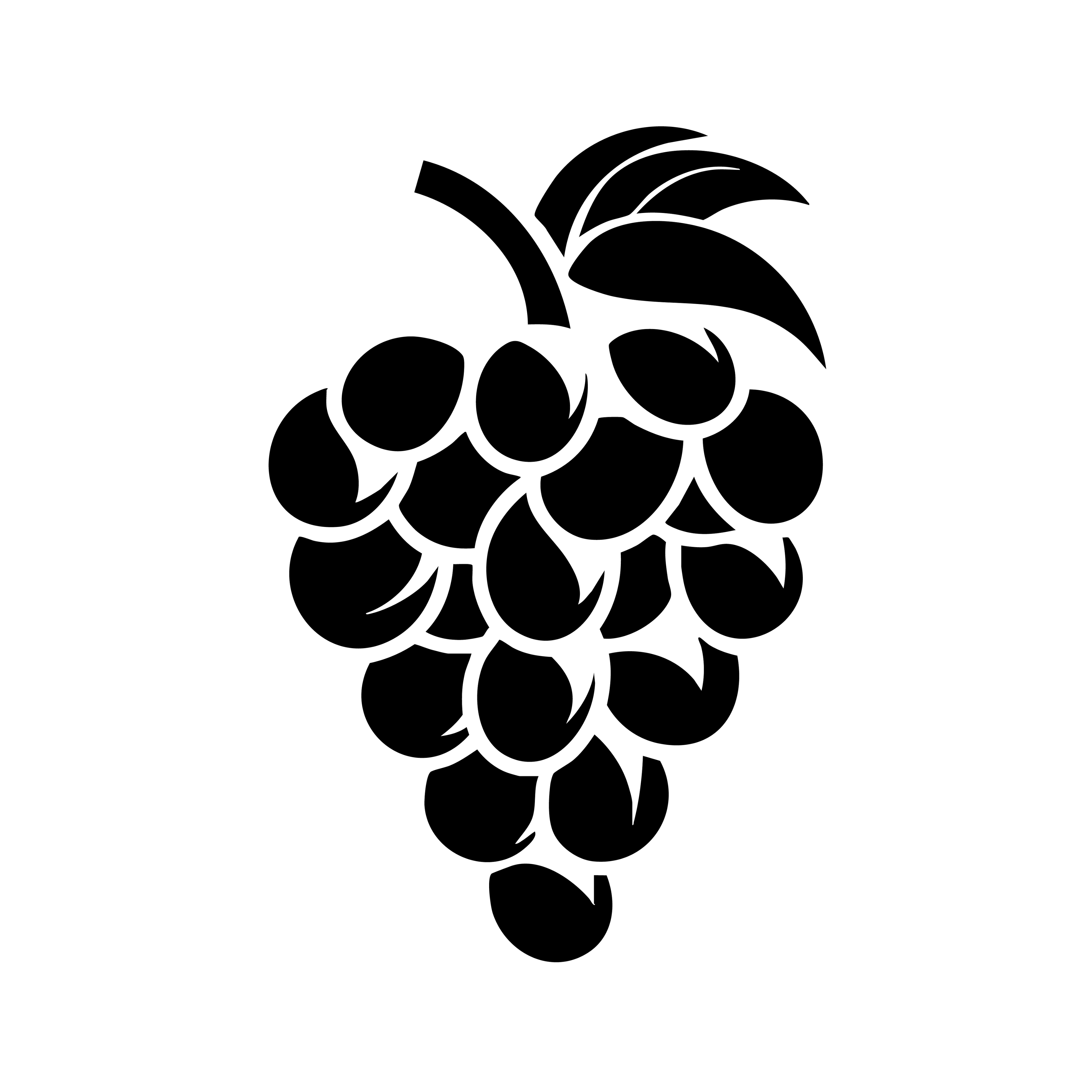 Vinyl Decal / Laptop Sticker/ Car Decal / Phone Sticker Grapes