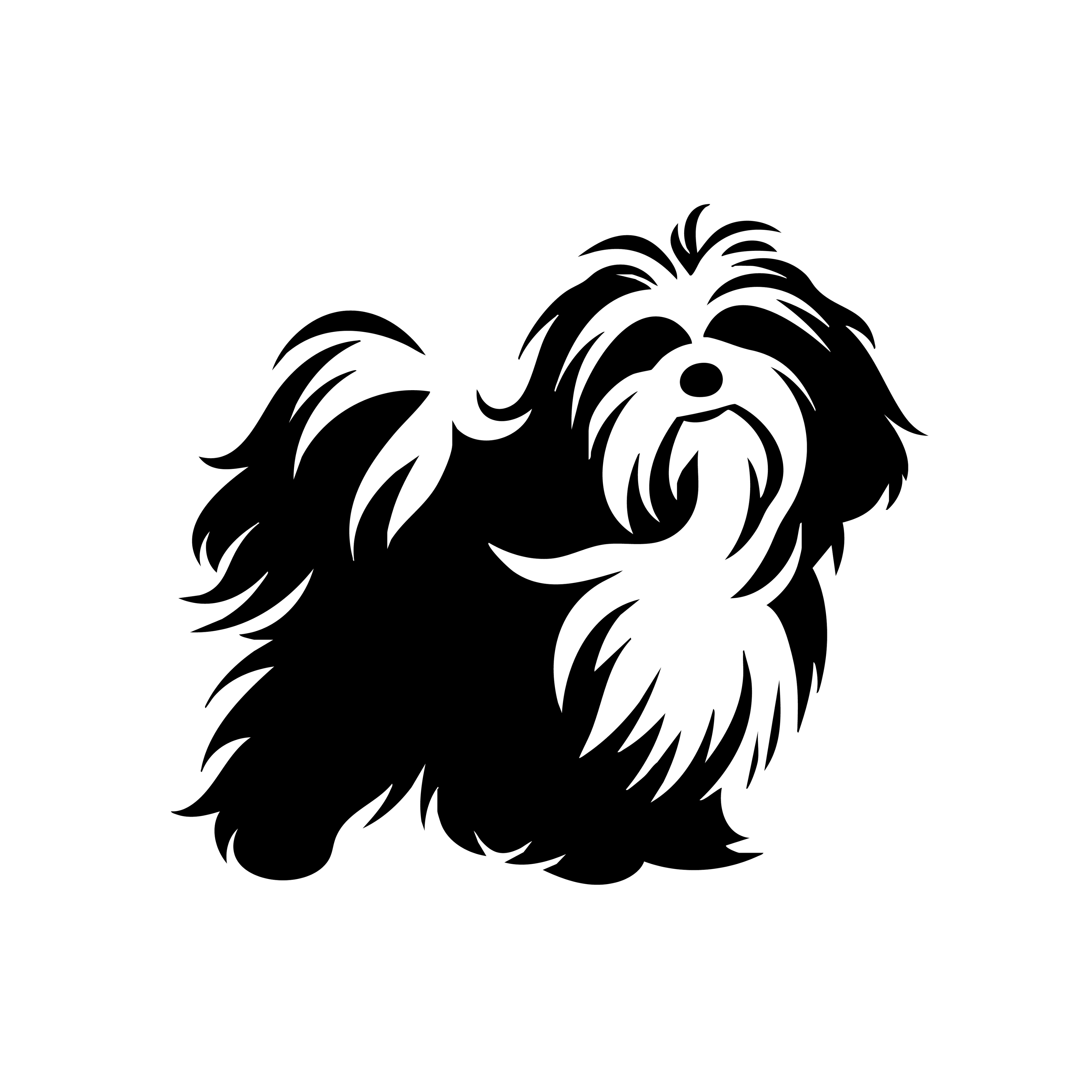 Vinyl Decal / Laptop Sticker/ Car Decal / Phone Sticker Havenese