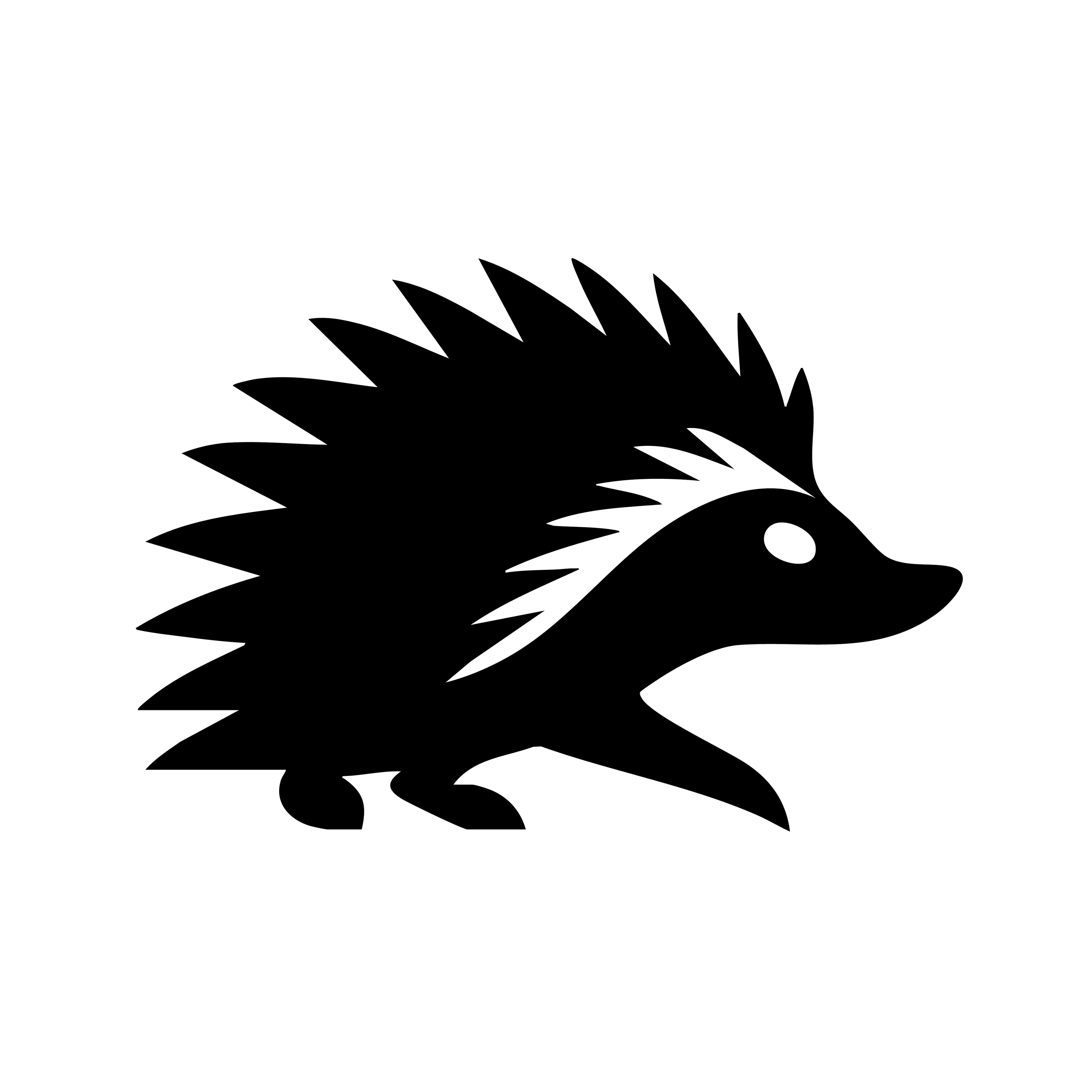 Vinyl Decal / Laptop Sticker/ Car Decal / Phone Sticker Hedgehog