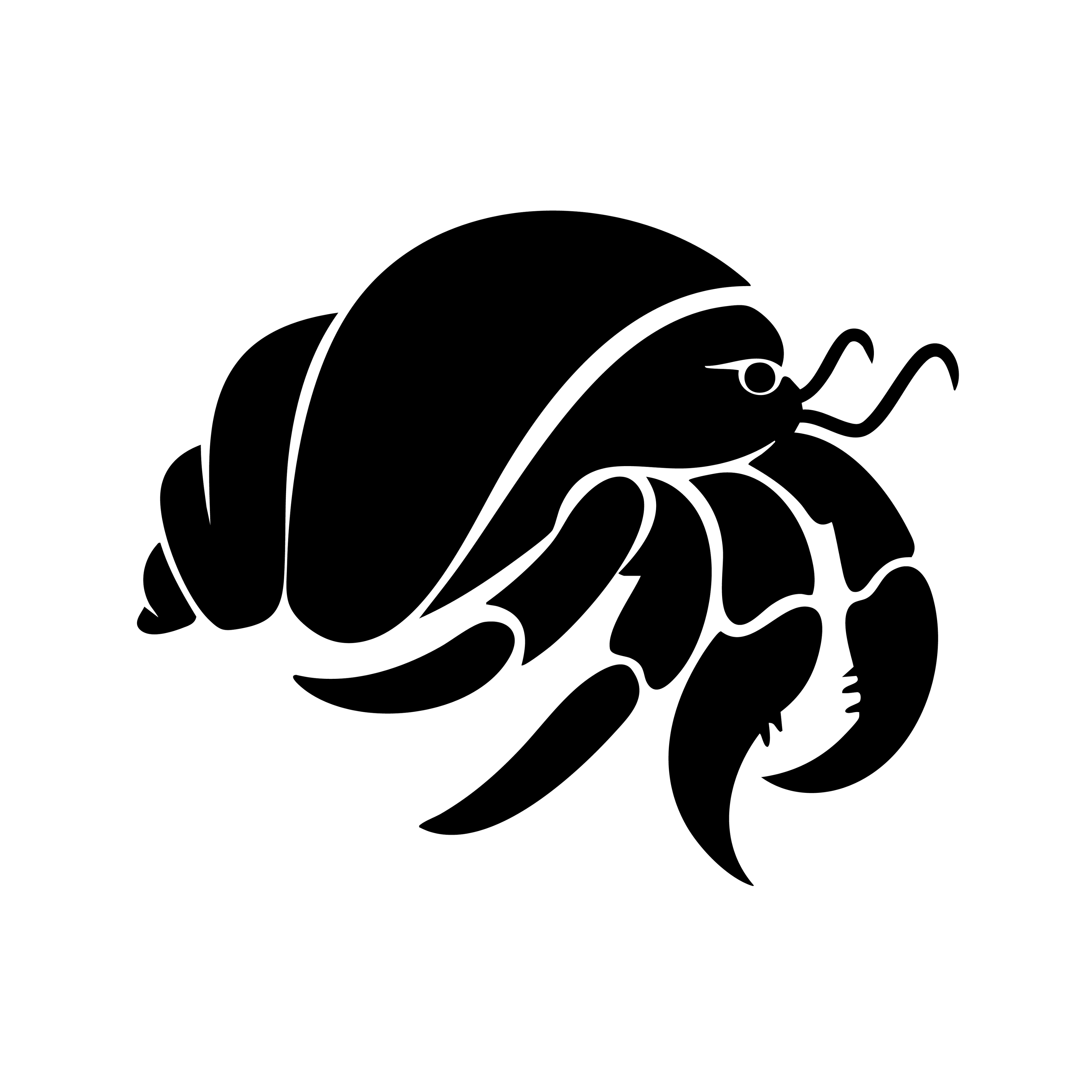 Vinyl Decal / Laptop Sticker/ Car Decal / Phone Sticker Hermit Crab