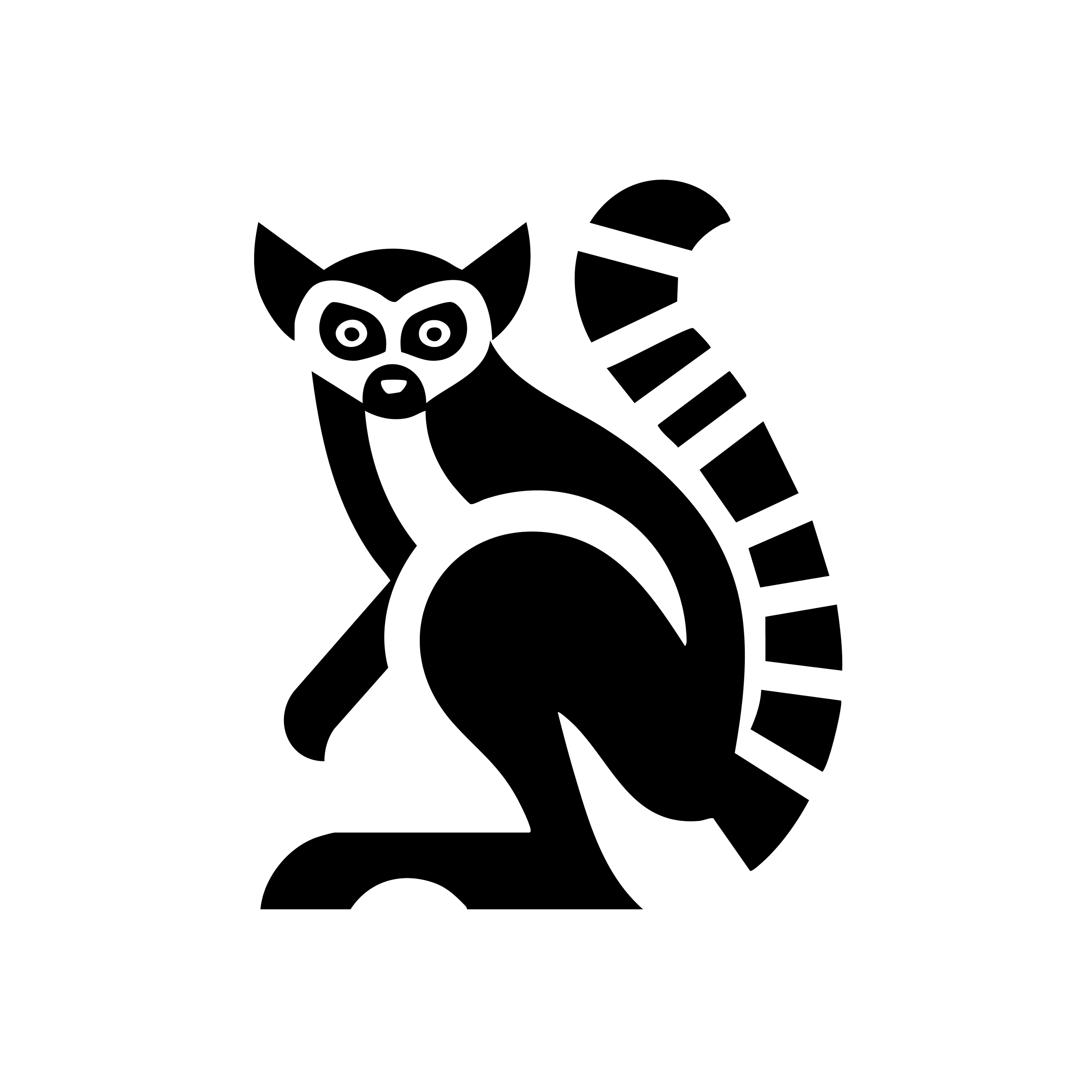 Vinyl Decal / Laptop Sticker/ Car Decal / Phone Sticker Lemur