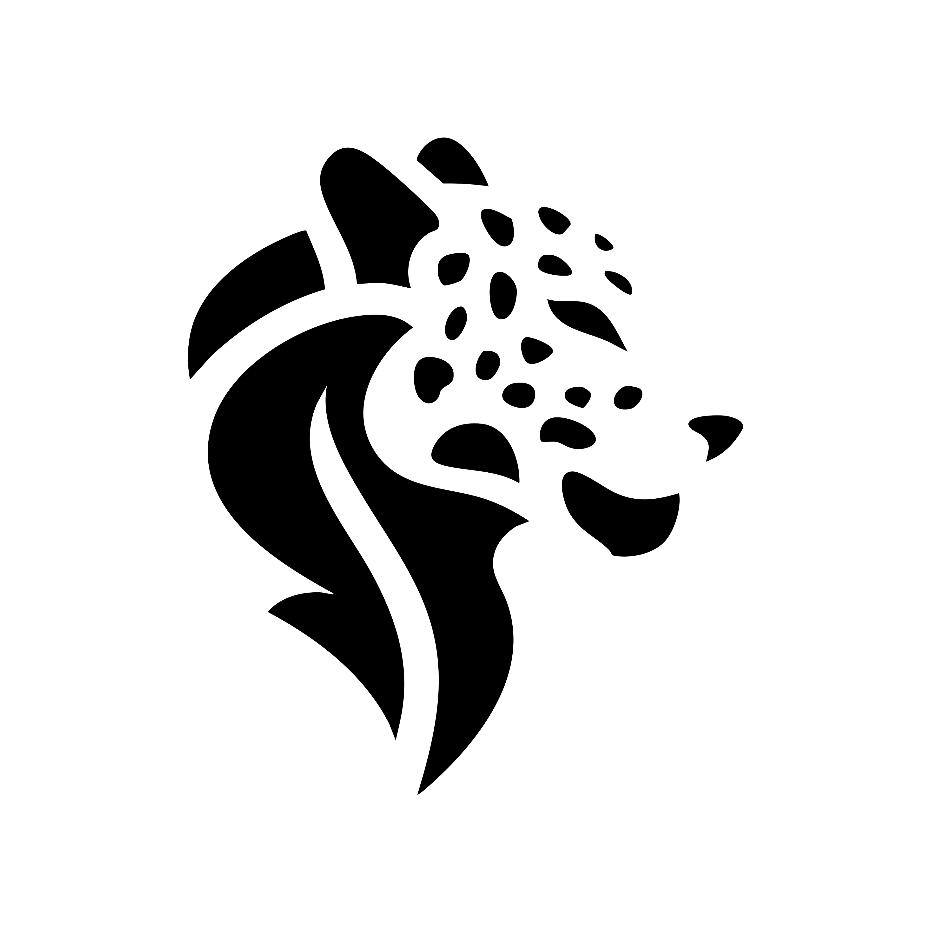 Vinyl Decal / Laptop Sticker/ Car Decal / Phone Sticker Leopard