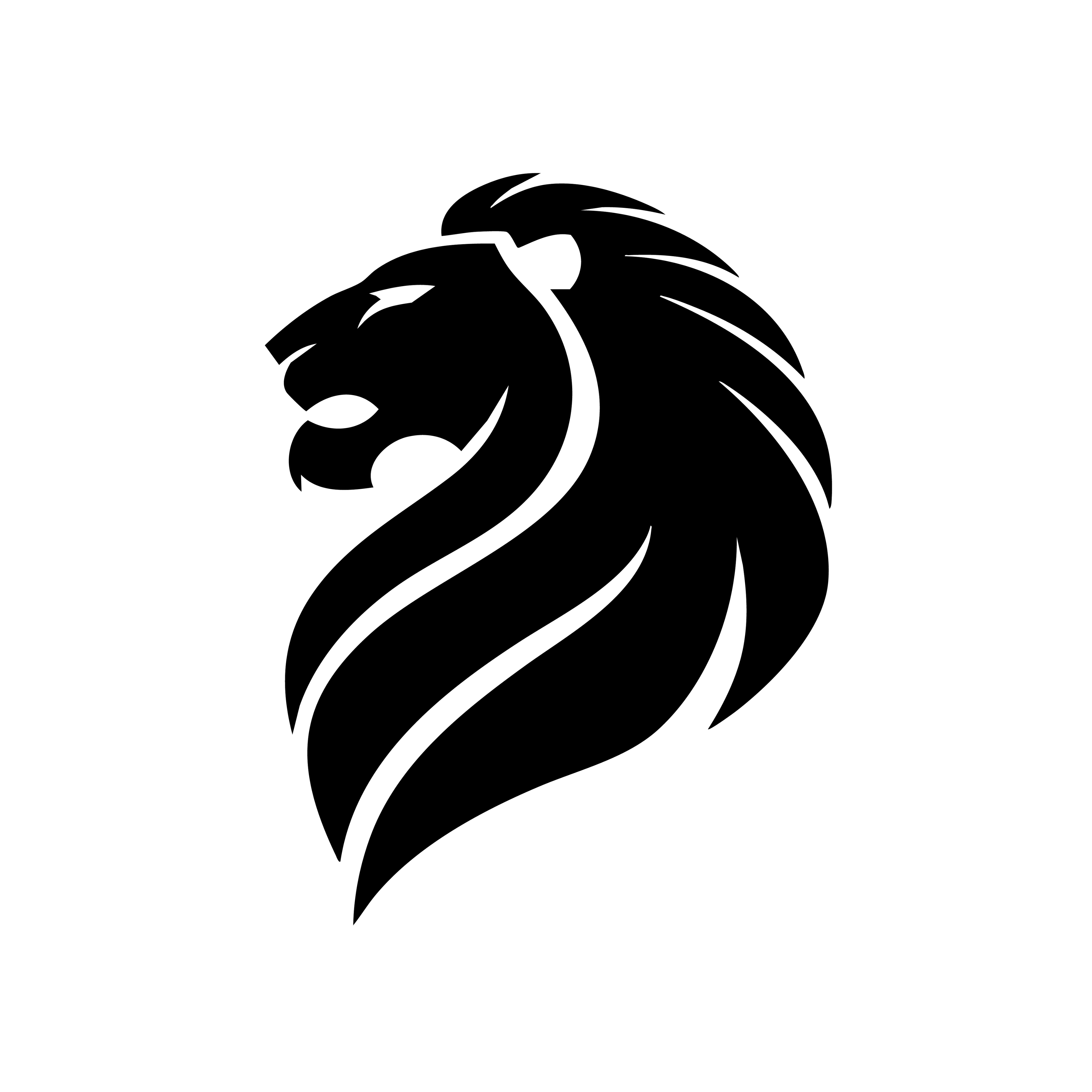 Vinyl Decal / Laptop Sticker/ Car Decal / Phone Sticker Lion