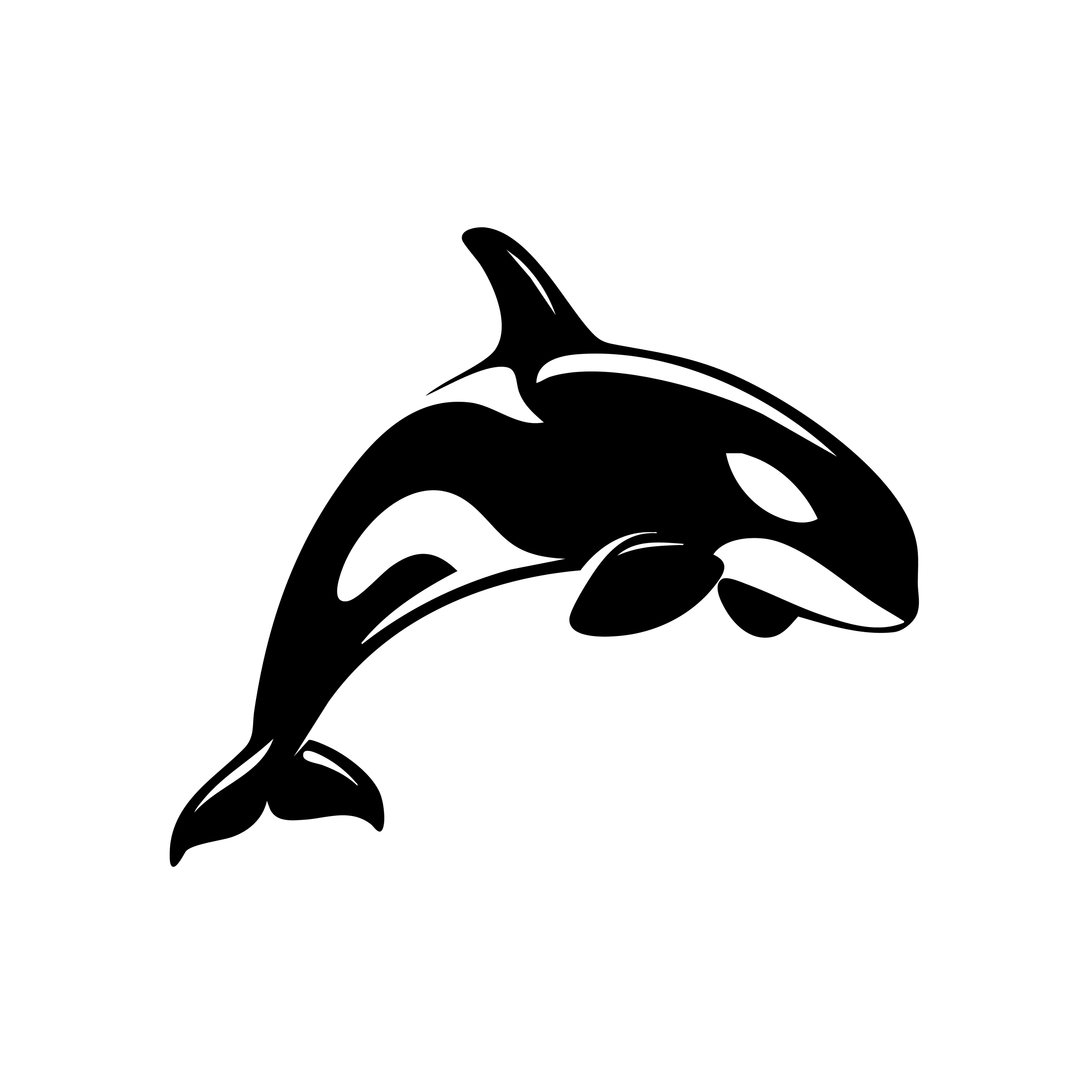 Vinyl Decal / Laptop Sticker/ Car Decal / Phone Sticker Orca Whale
