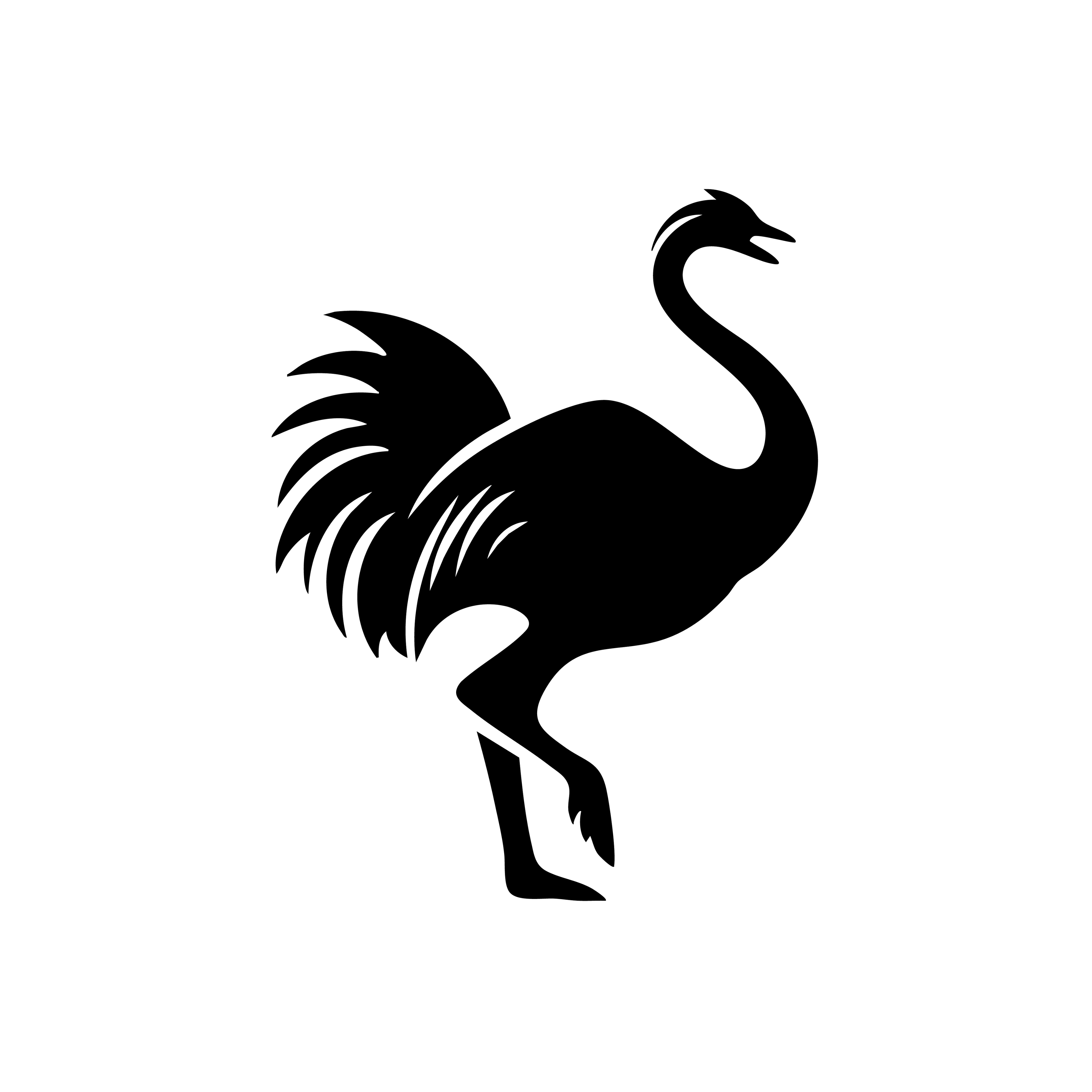 Vinyl Decal / Laptop Sticker/ Car Decal / Phone Sticker Ostrich