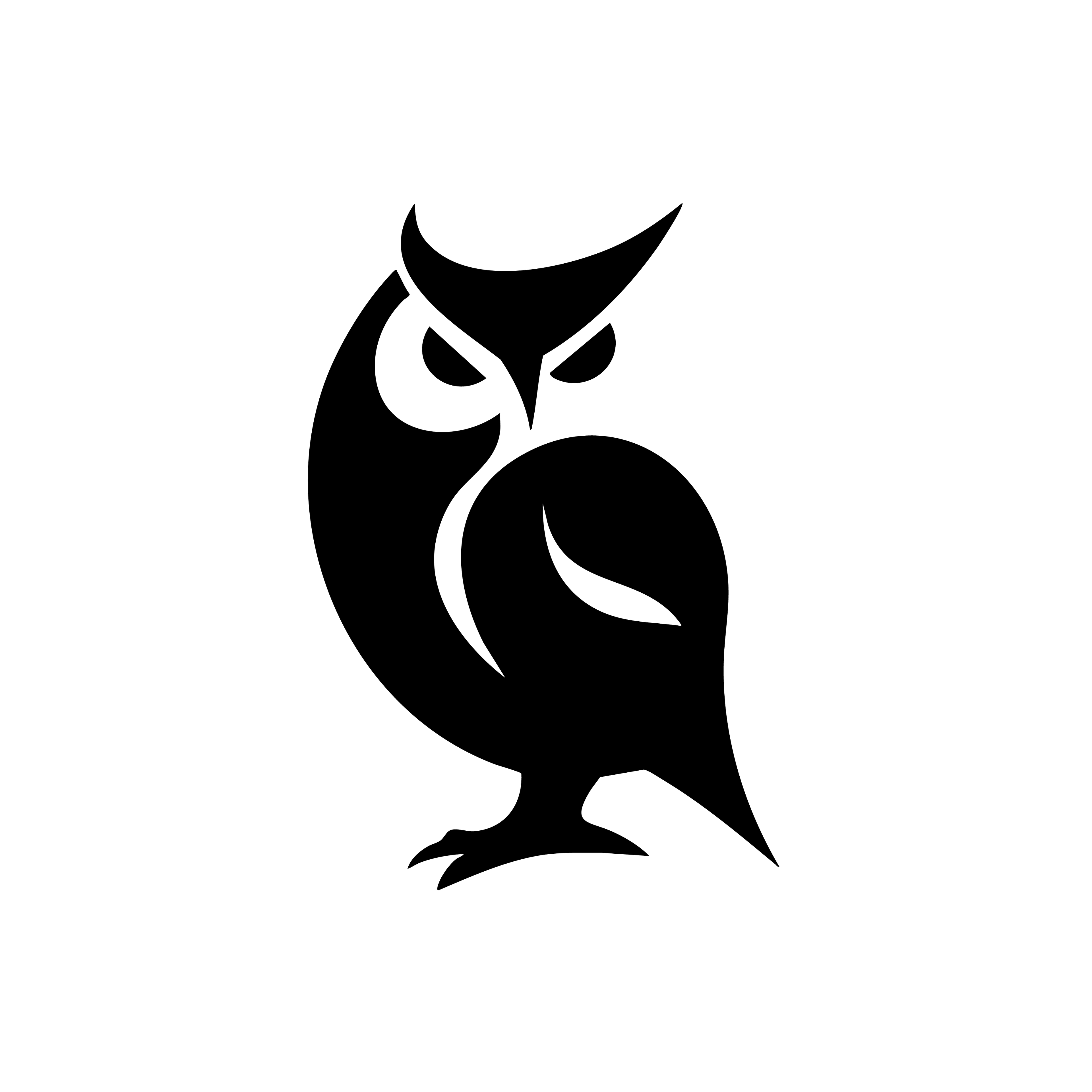 Vinyl Decal / Laptop Sticker/ Car Decal / Phone Sticker Owl