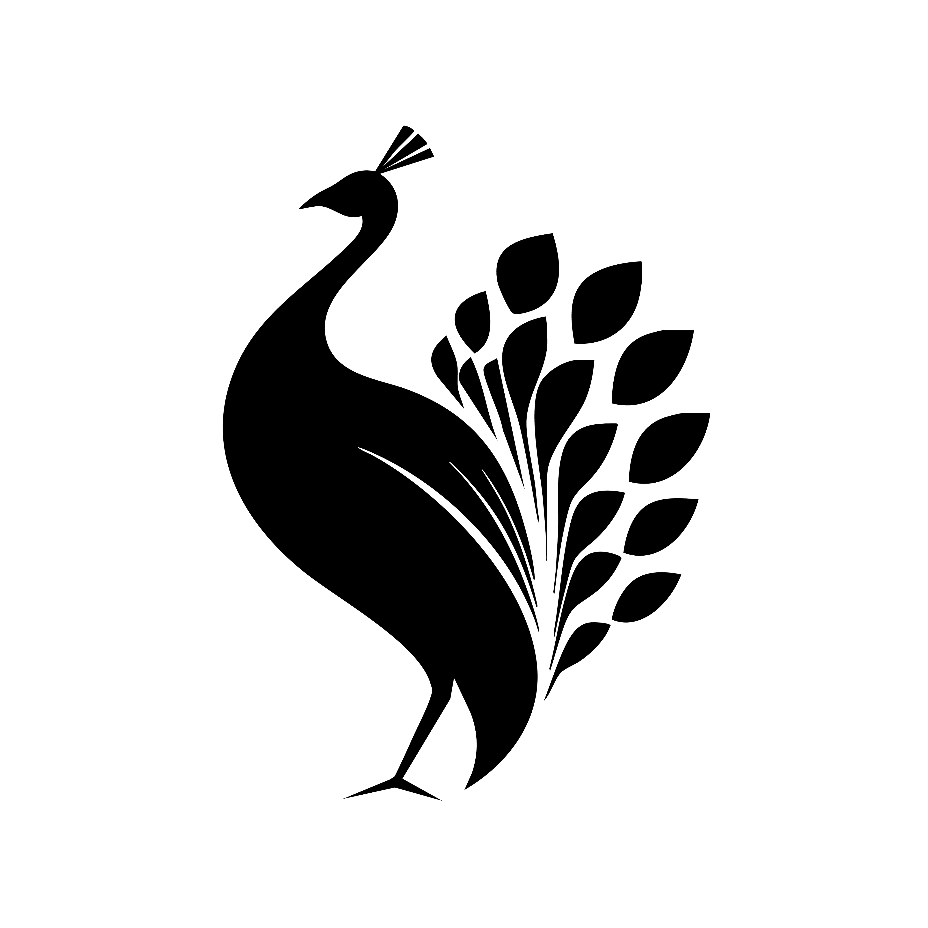 Vinyl Decal / Laptop Sticker/ Car Decal / Phone Sticker Peacock