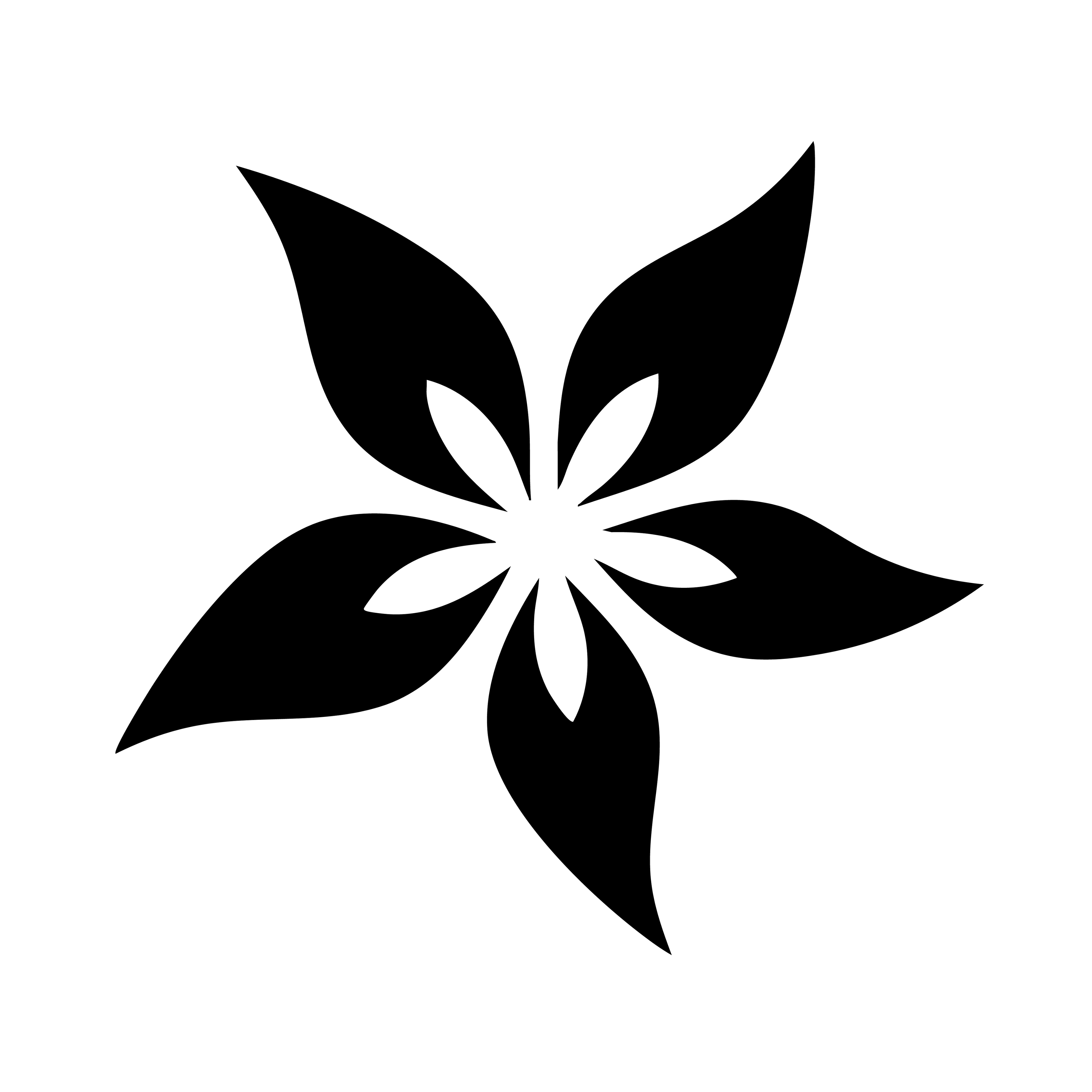 Vinyl Decal / Laptop Sticker/ Car Decal / Phone Sticker Pointsetta