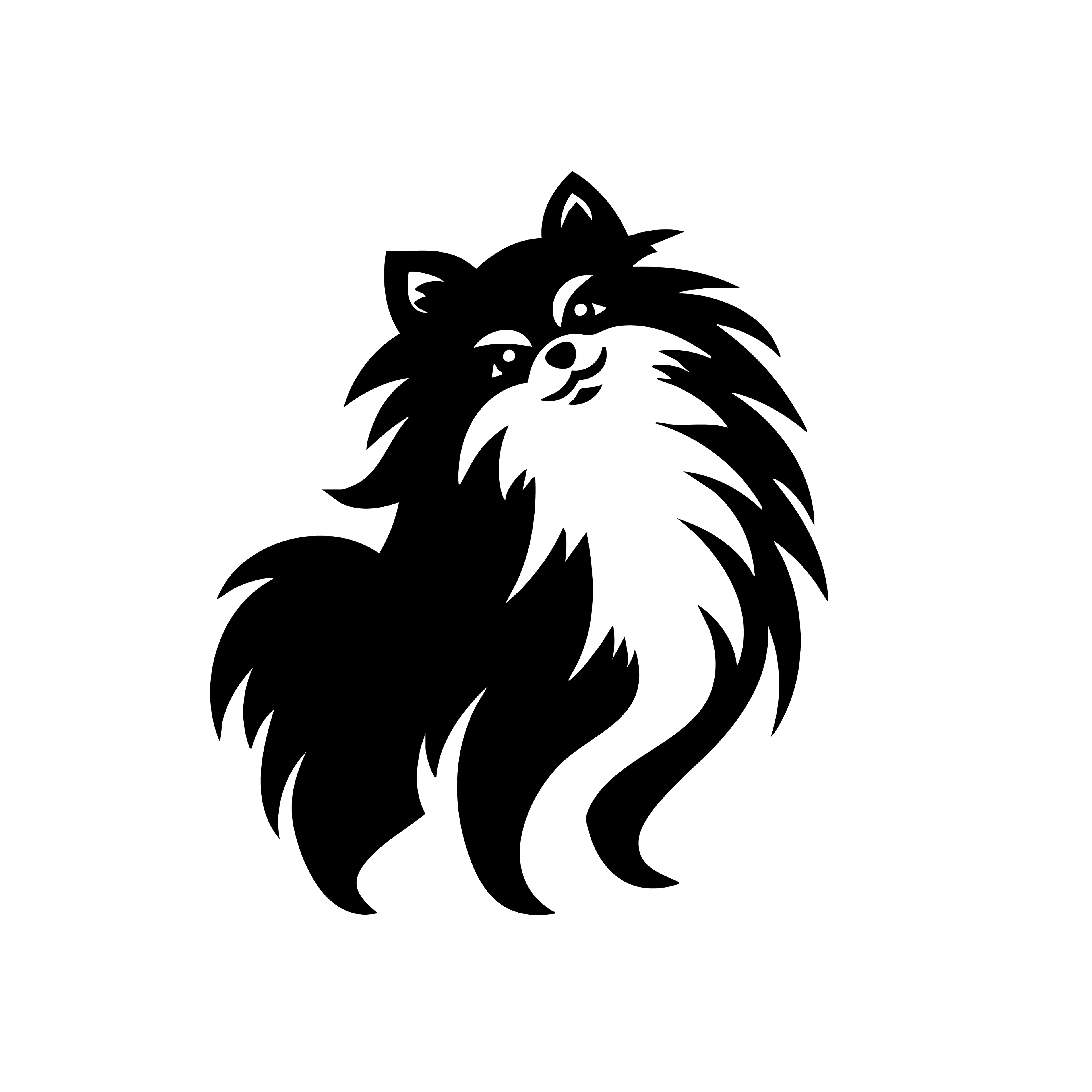 Vinyl Decal / Laptop Sticker/ Car Decal / Phone Sticker Pomeranian