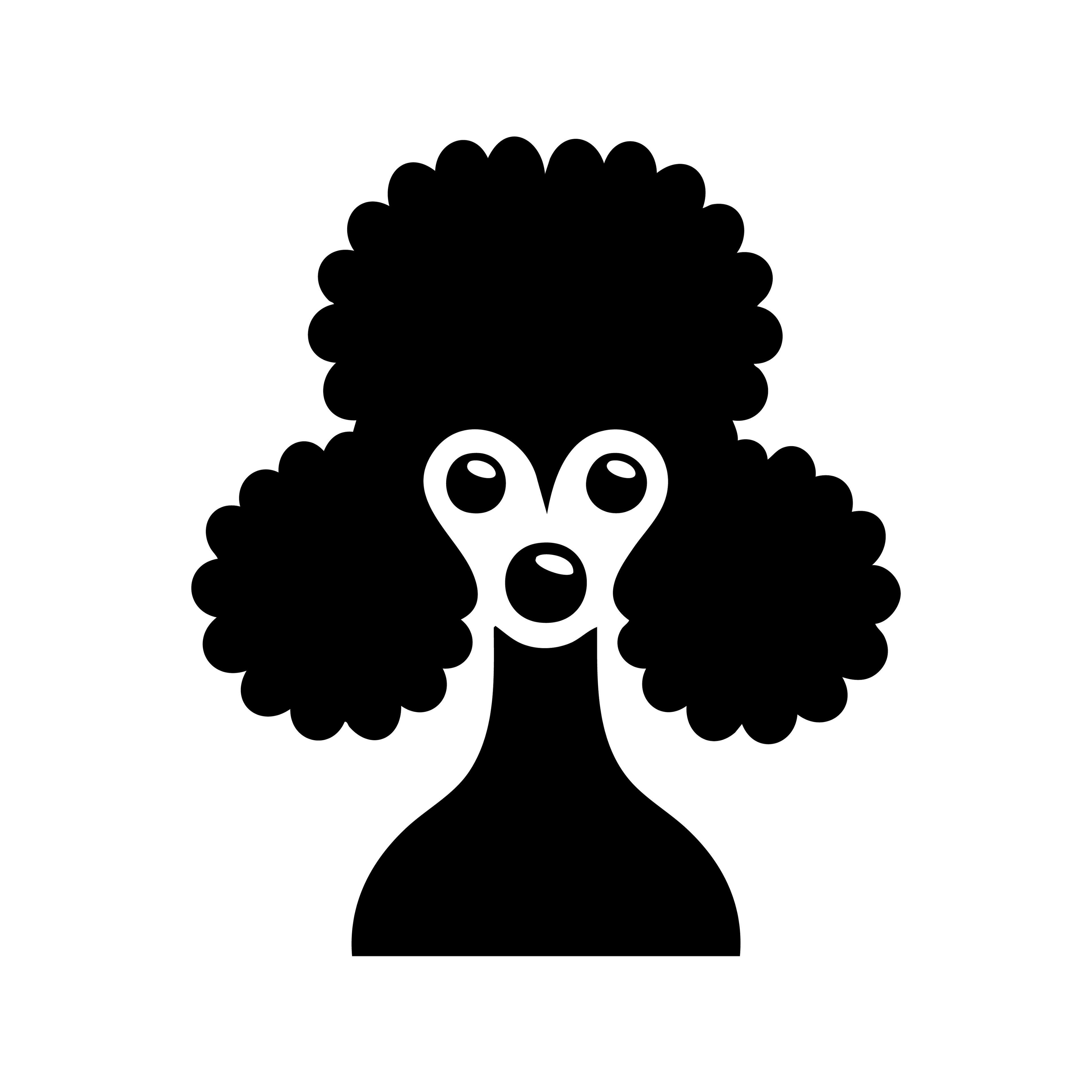 Vinyl Decal / Laptop Sticker/ Car Decal / Phone Sticker Poodle