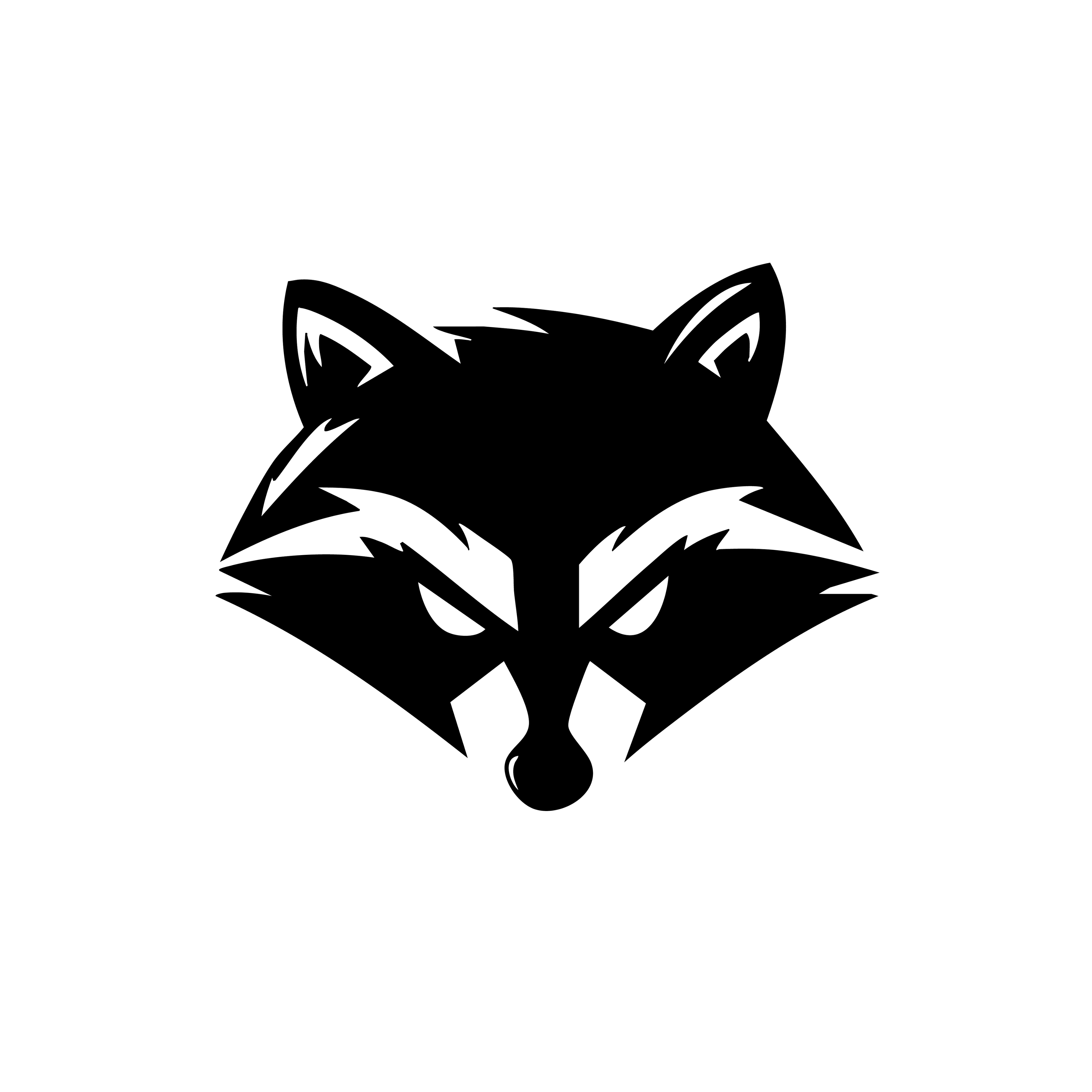 Vinyl Decal / Laptop Sticker/ Car Decal / Phone Sticker Racoon
