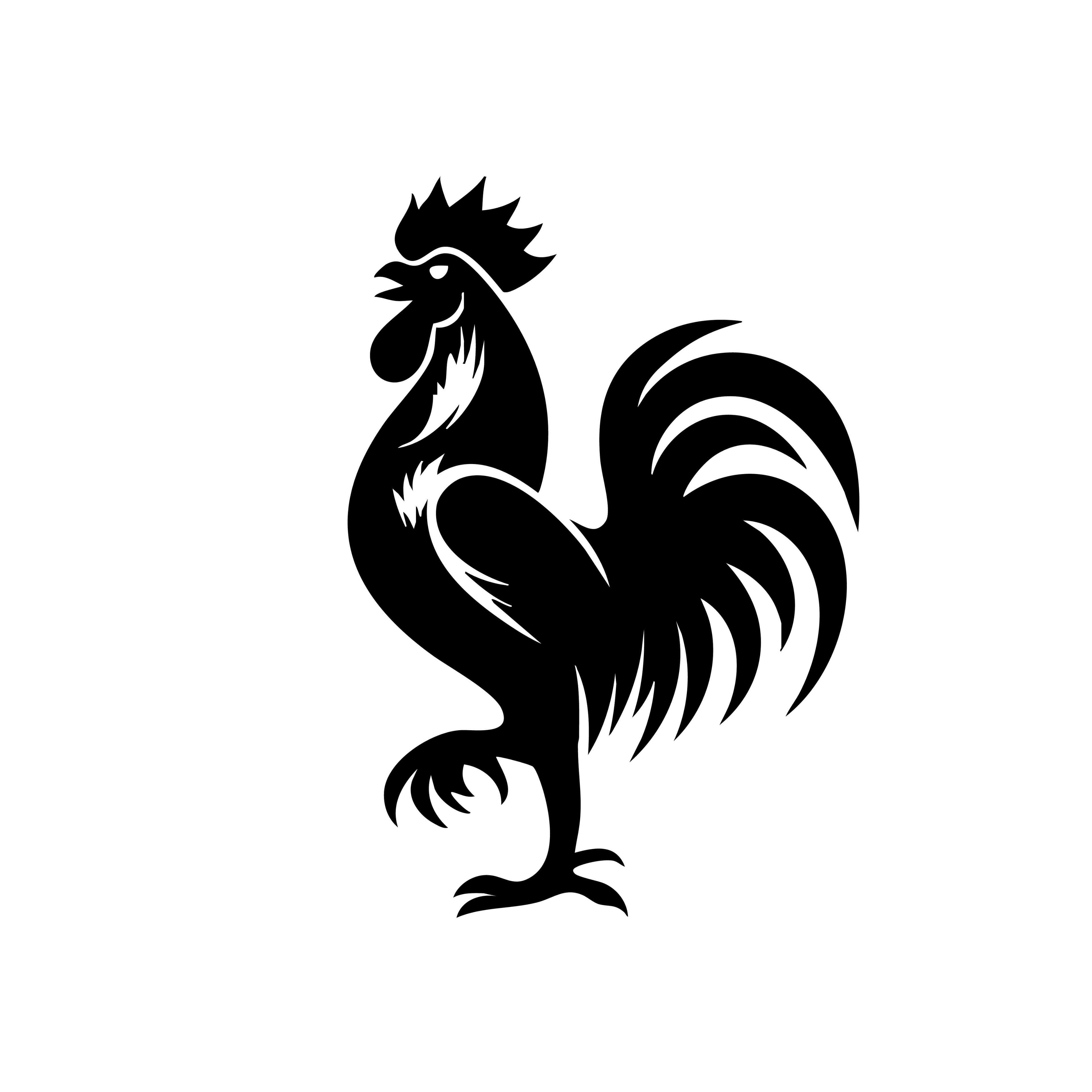 Vinyl Decal / Laptop Sticker/ Car Decal / Phone Sticker Rooster
