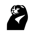 Vinyl Decal / Laptop Sticker/ Car Decal / Phone Sticker Scottish Fold Cat