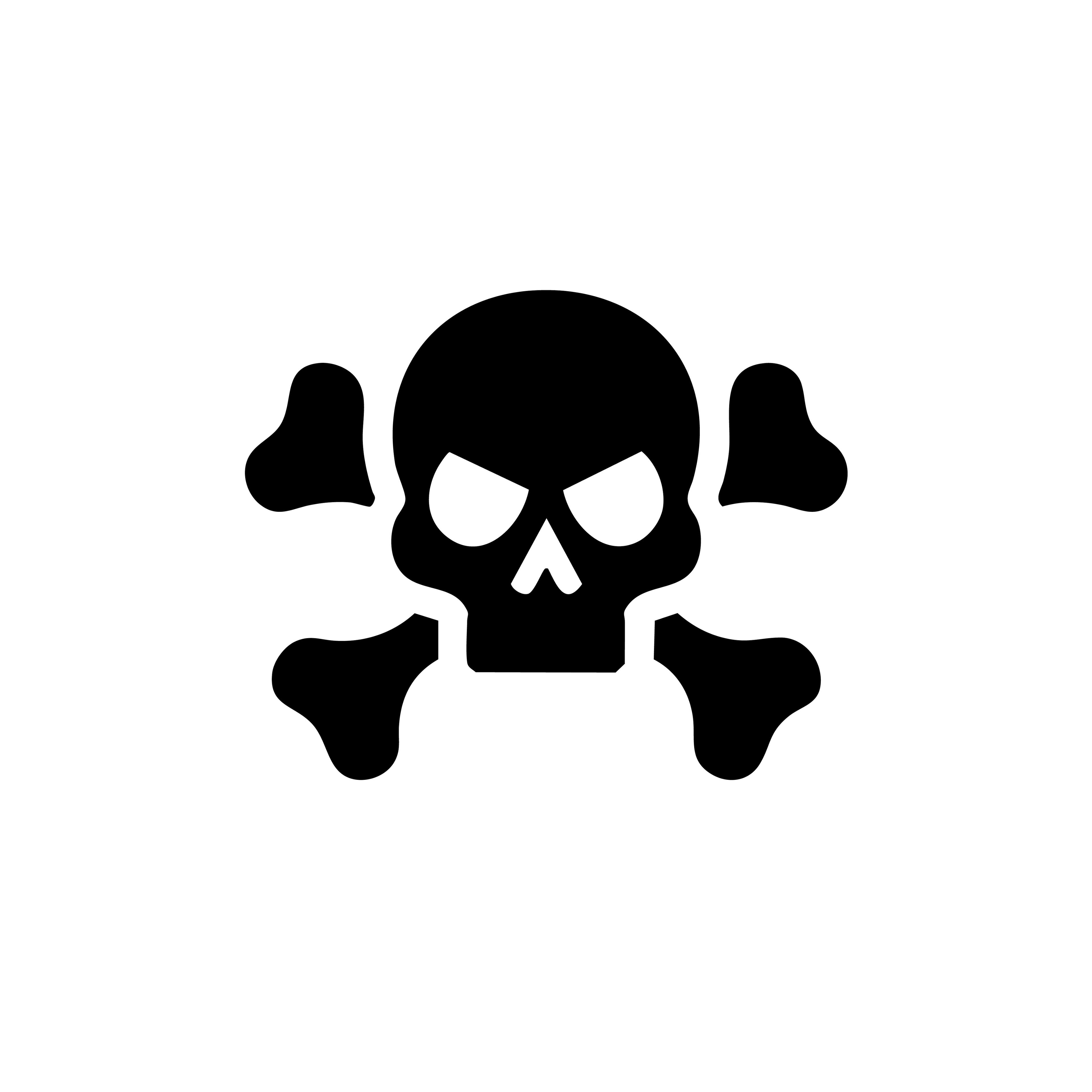 Vinyl Decal / Laptop Sticker/ Car Decal /  Skull & Crossbones