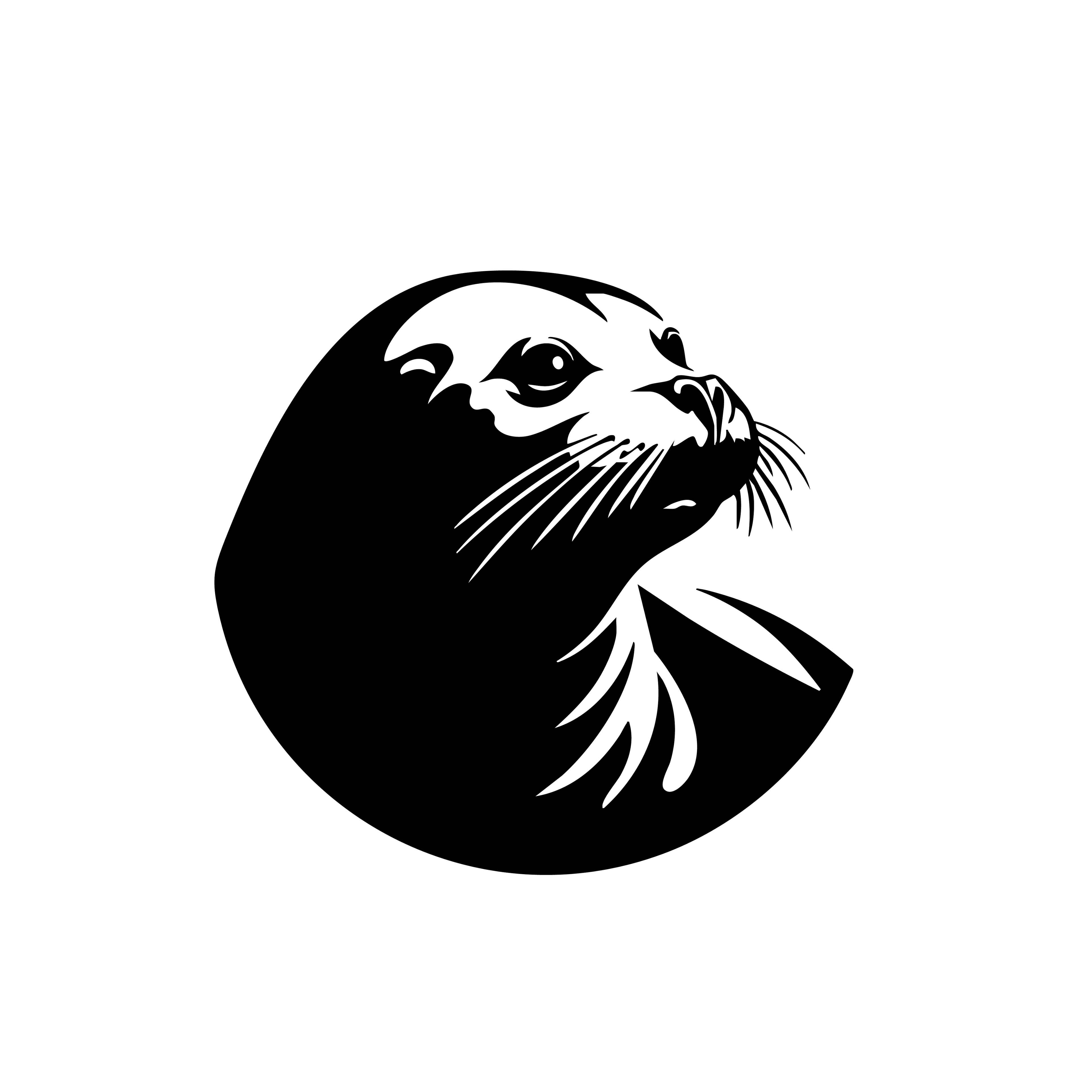 Vinyl Decal / Laptop Sticker/ Car Decal / Phone Sticker Seal