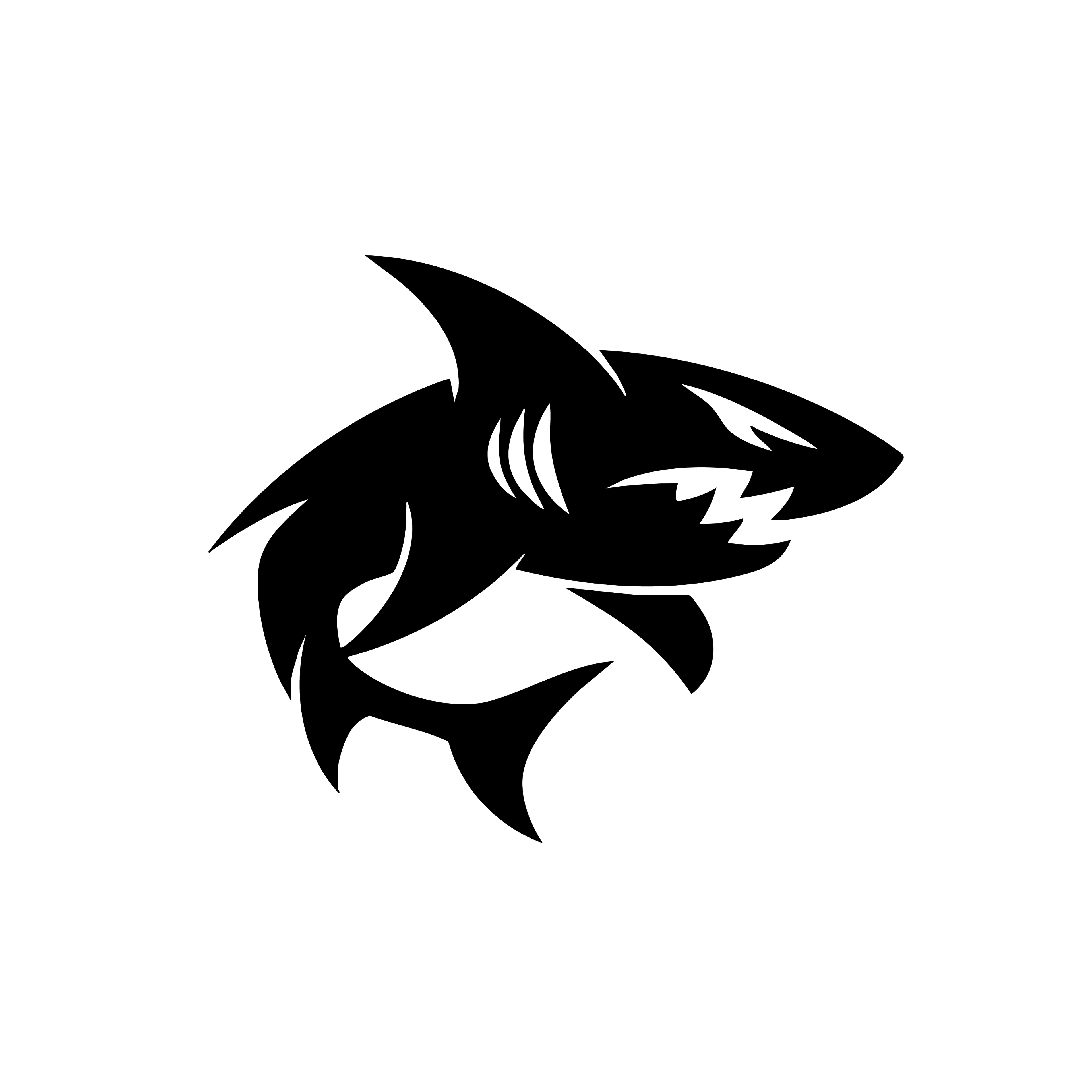 Vinyl Decal / Laptop Sticker/ Car Decal / Phone Sticker Shark