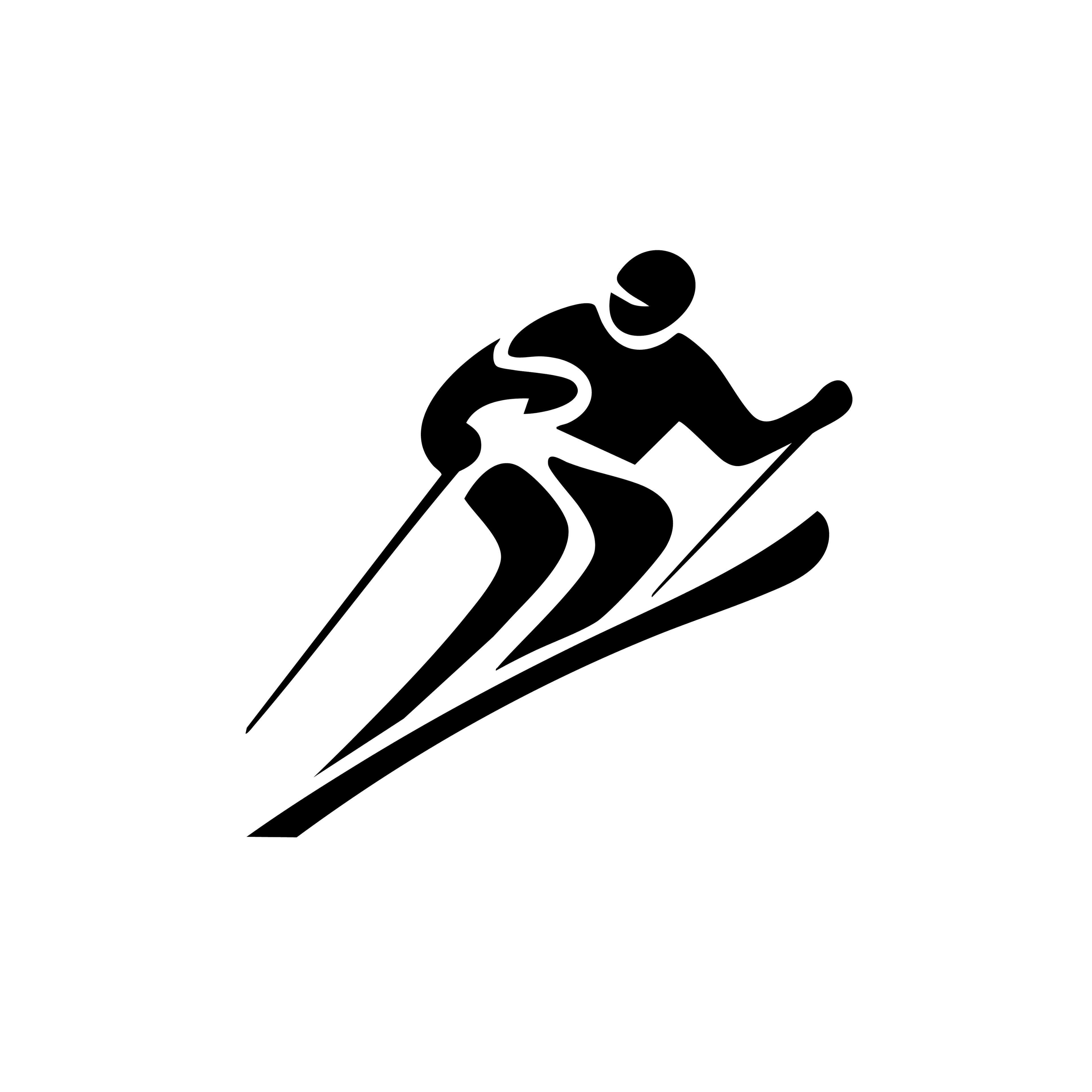 Vinyl Decal / Laptop Sticker/ Car Decal / Skier