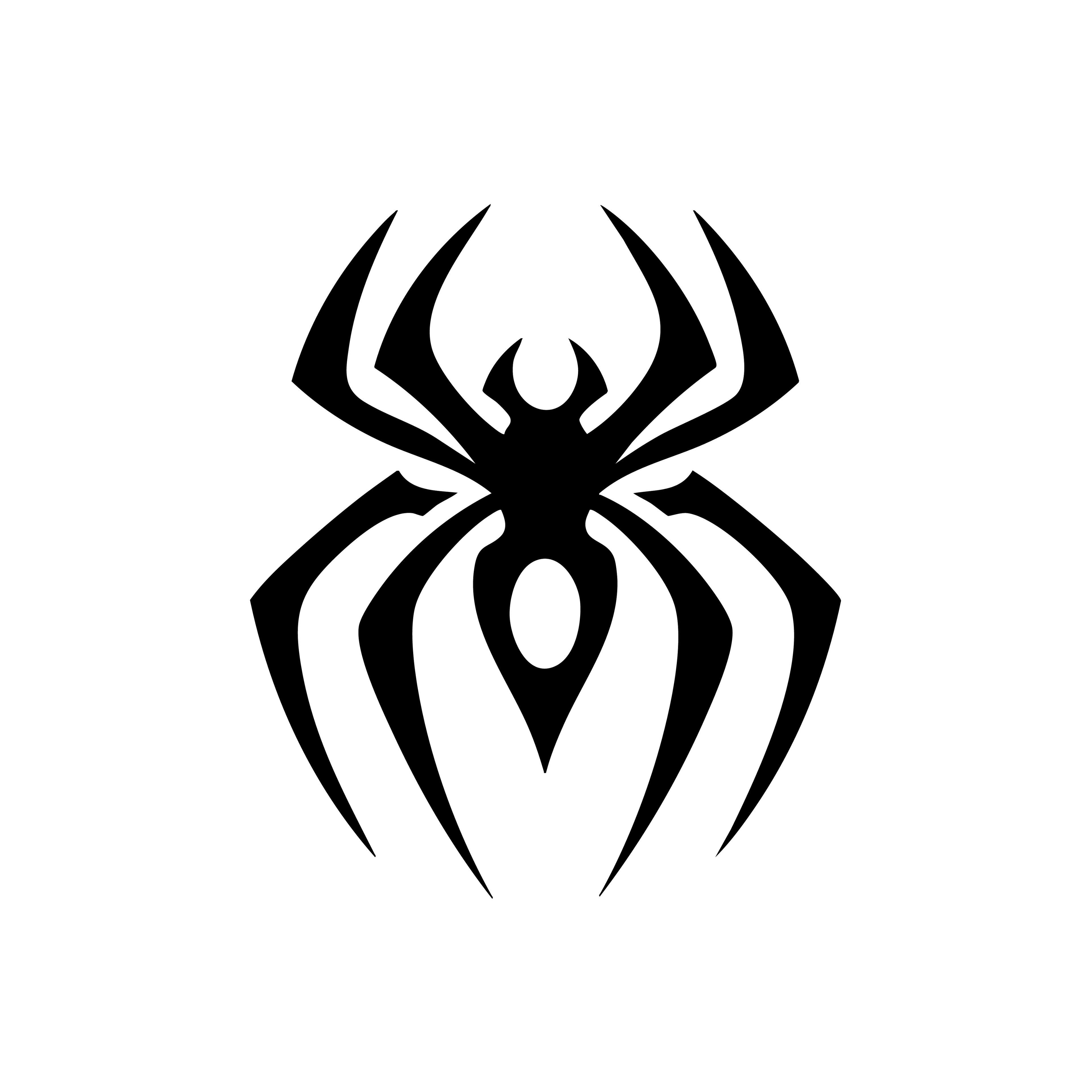 Vinyl Decal / Laptop Sticker/ Car Decal / Spider