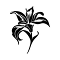 Vinyl Decal / Laptop Sticker/ Car Decal / Phone Sticker Stargazer