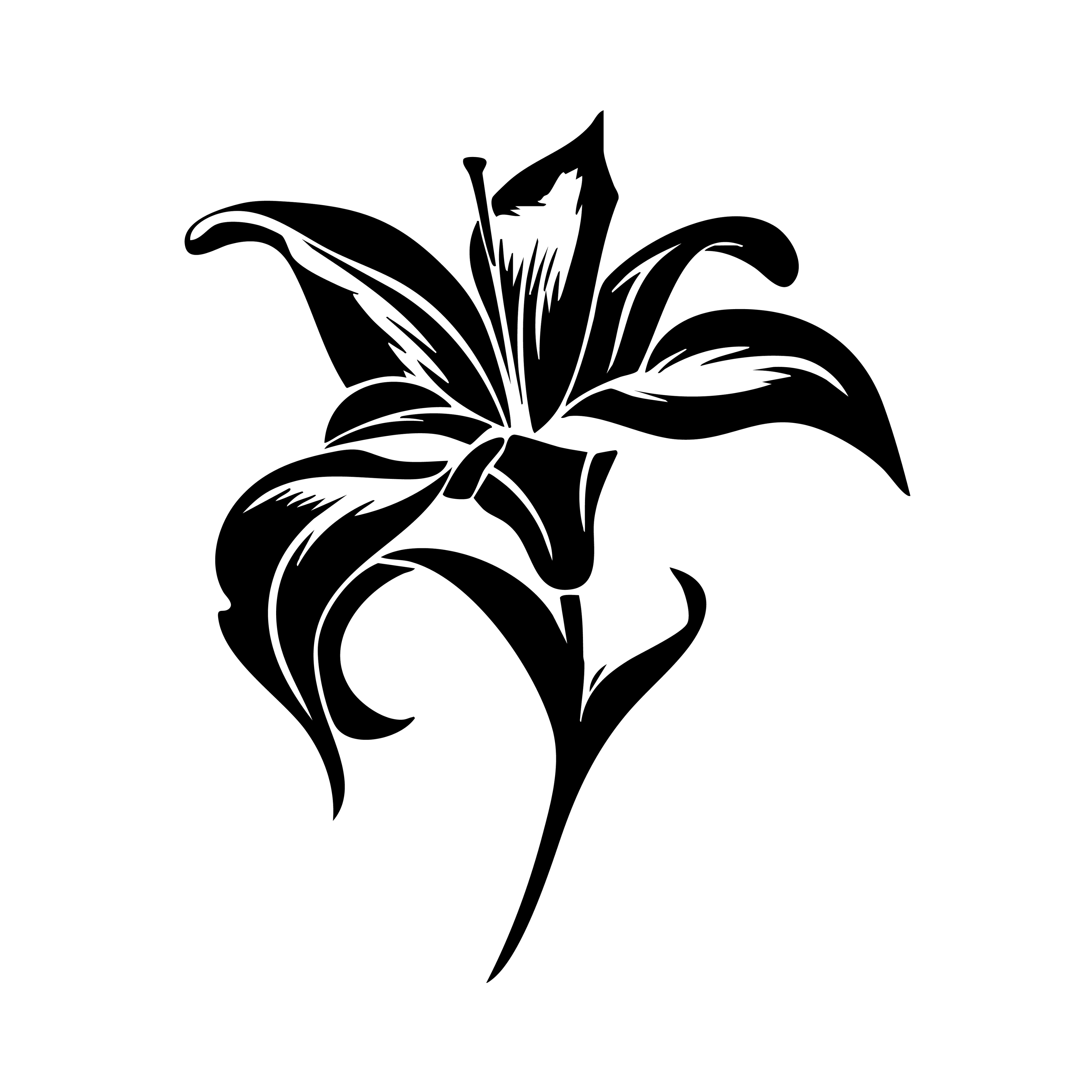 Vinyl Decal / Laptop Sticker/ Car Decal / Phone Sticker Stargazer