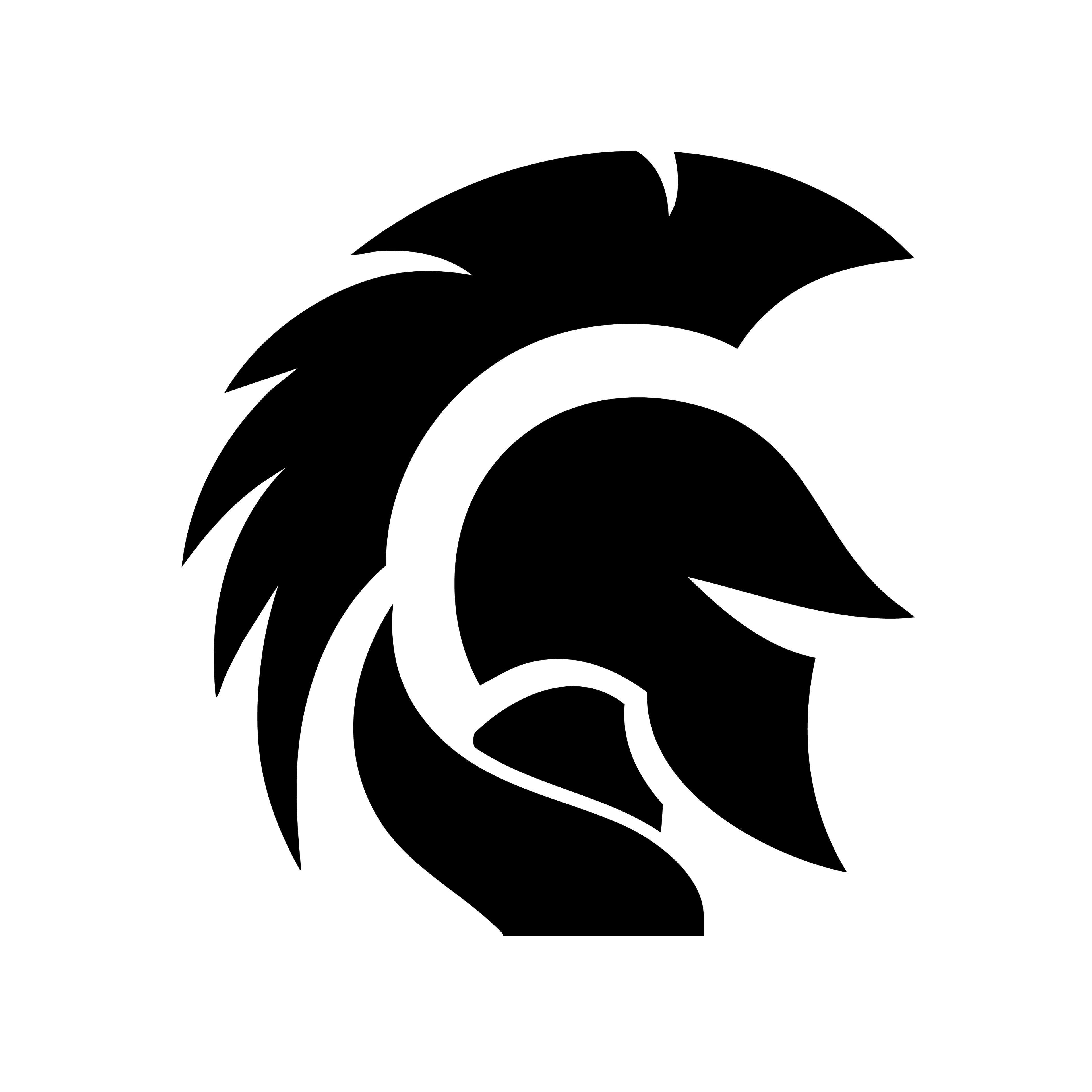 Vinyl Decal / Laptop Sticker/ Car Decal / Trojan
