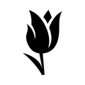 Vinyl Decal / Laptop Sticker/ Car Decal / Phone Sticker Tulip