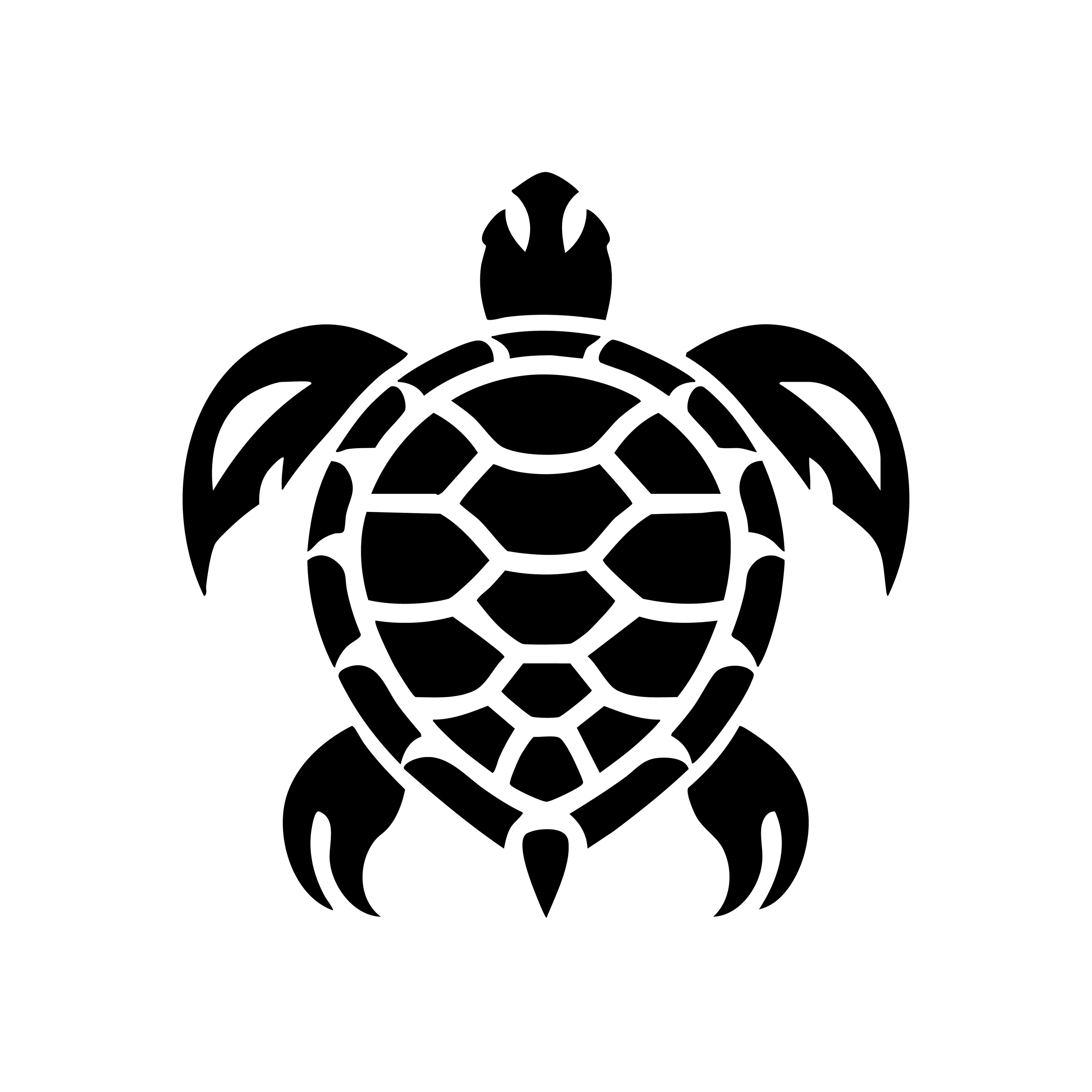 Vinyl Decal / Laptop Sticker/ Car Decal / Phone Sticker Sea Turtle