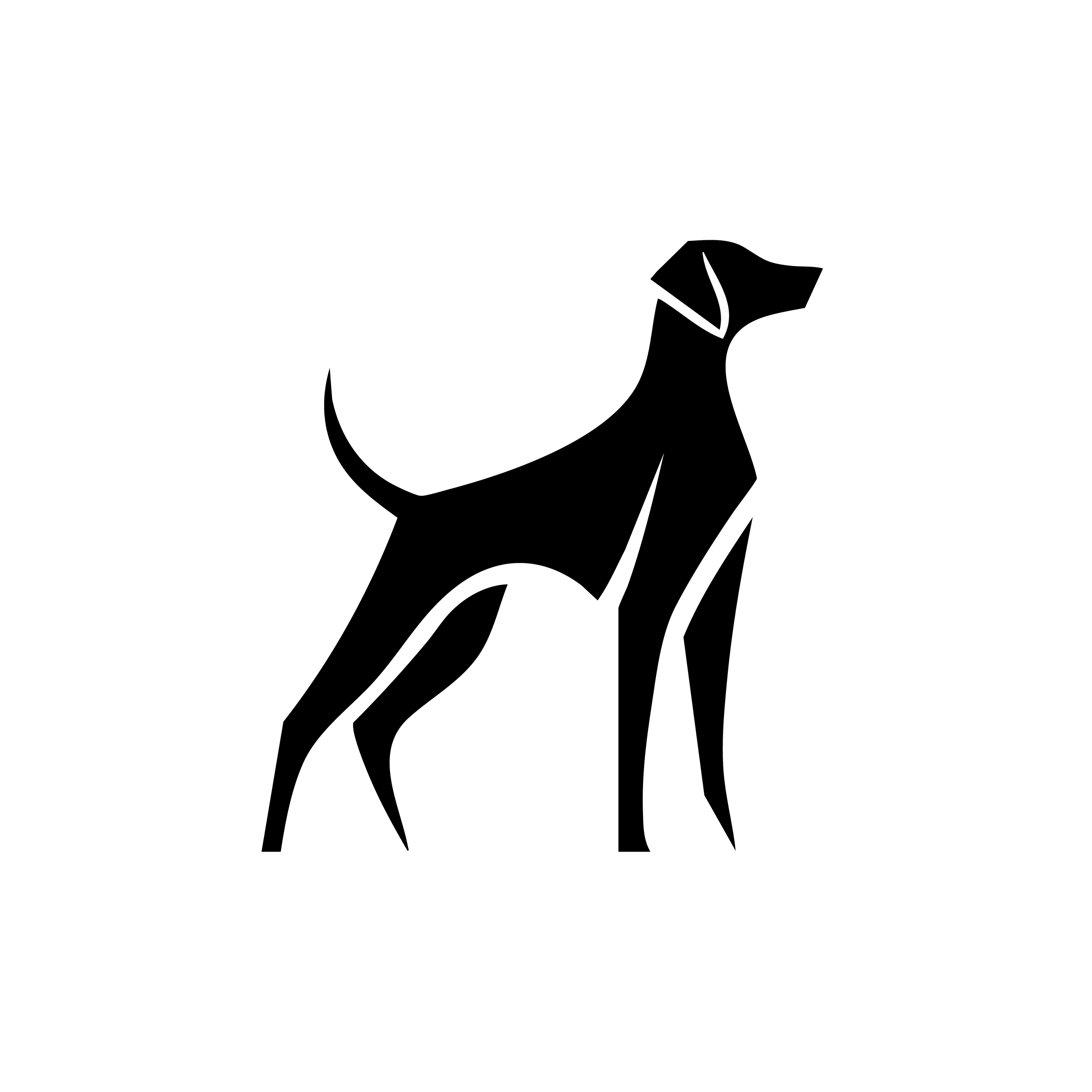 Vinyl Decal / Laptop Sticker/ Car Decal / Phone Sticker Vizsla