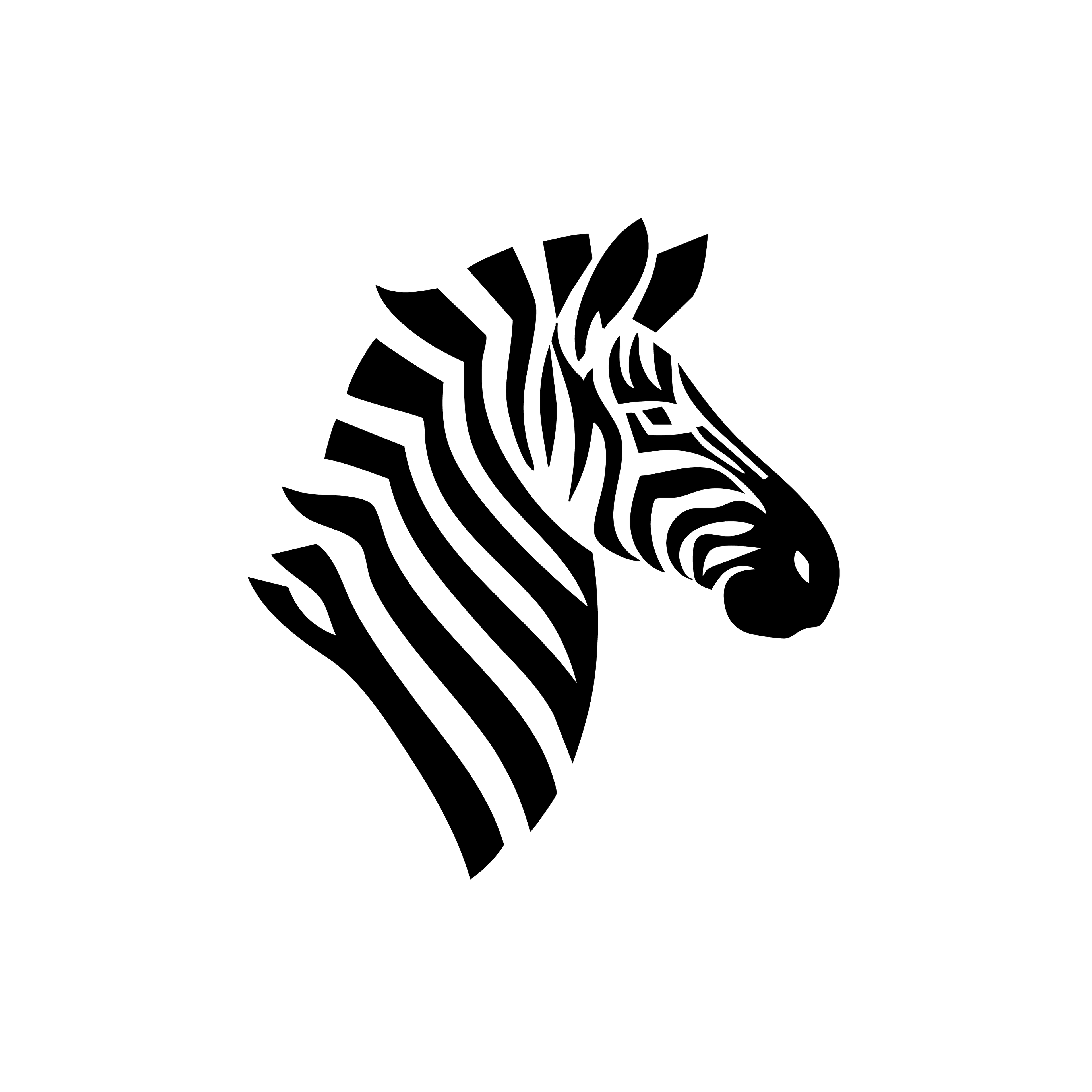 Vinyl Decal / Laptop Sticker/ Car Decal / Phone Sticker Zebra