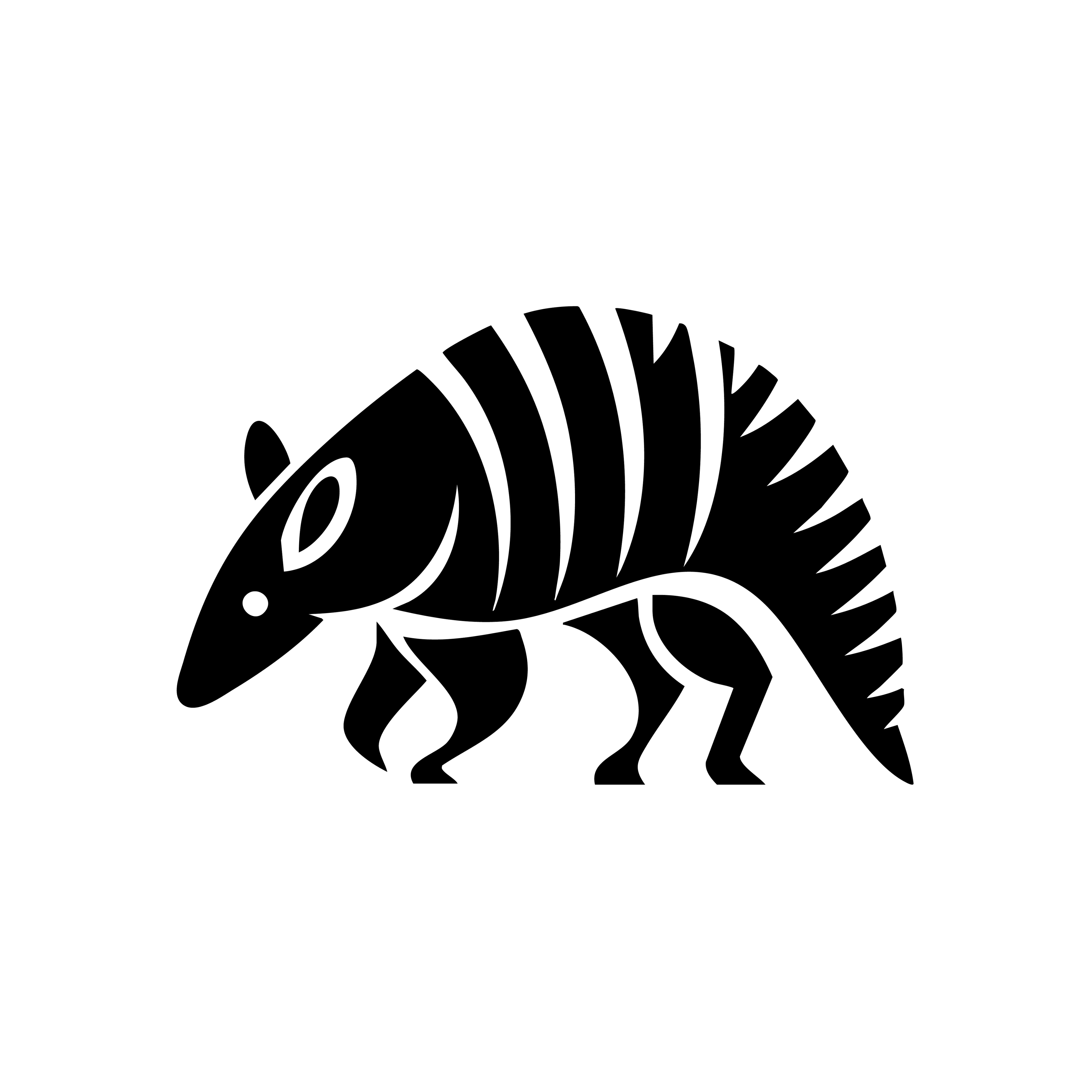 Vinyl Decal / Laptop Sticker/ Car Decal / Phone Sticker Armadillo