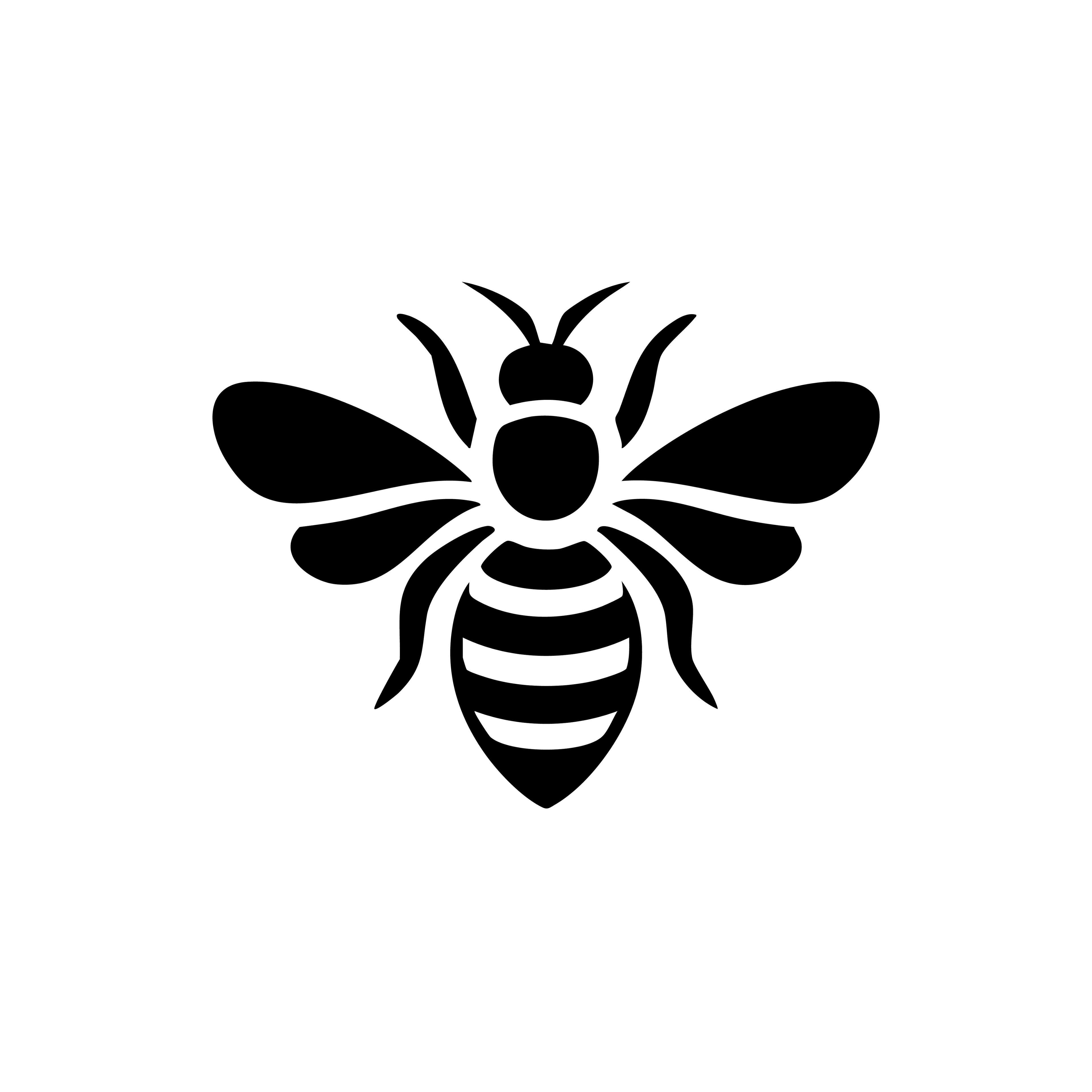 Vinyl Decal / Laptop Sticker/ Car Decal / Phone Sticker Bee