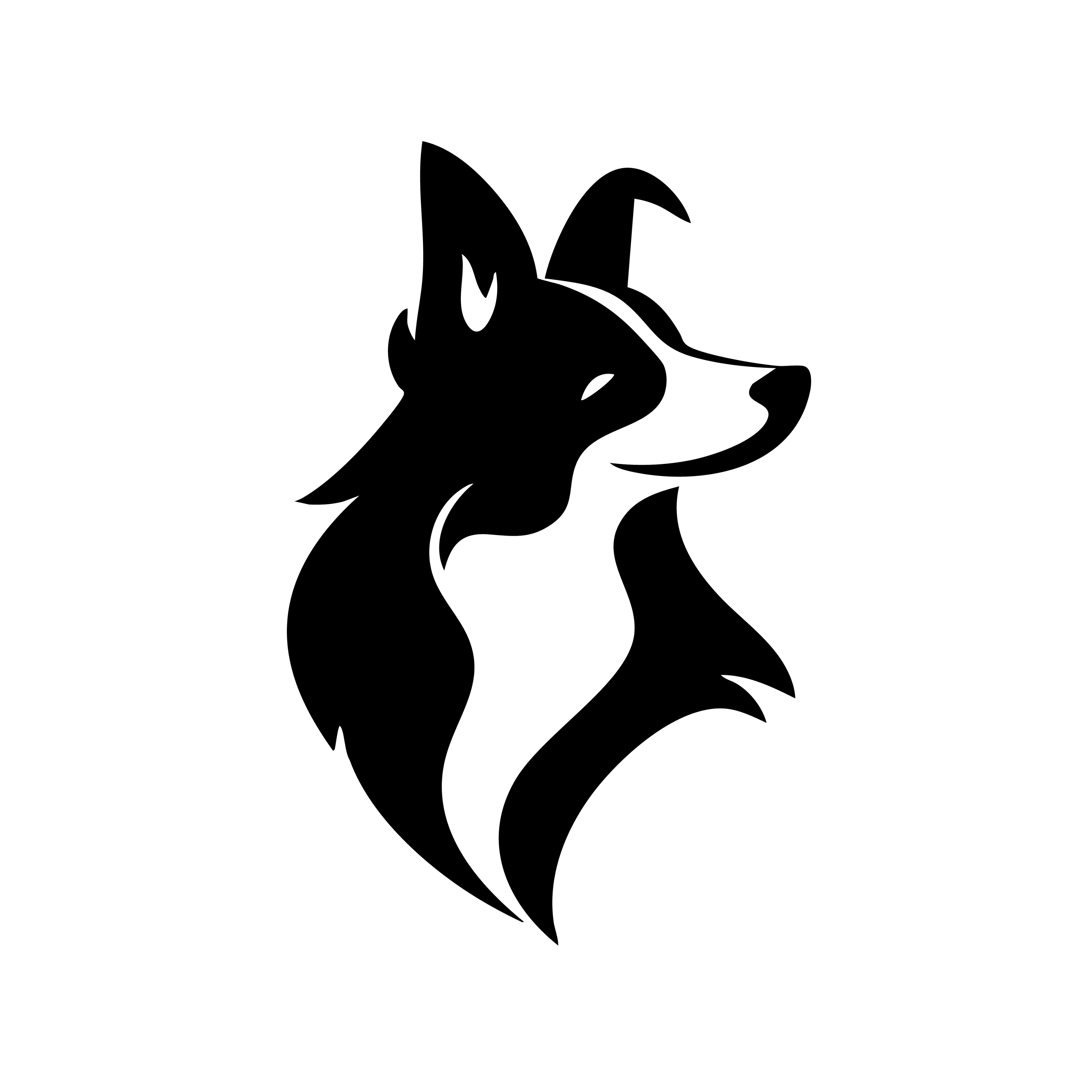 Vinyl Decal / Laptop Sticker/ Car Decal / Phone Sticker Border Collie