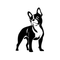 Vinyl Decal / Laptop Sticker/ Car Decal / Phone Sticker Boston Terrier