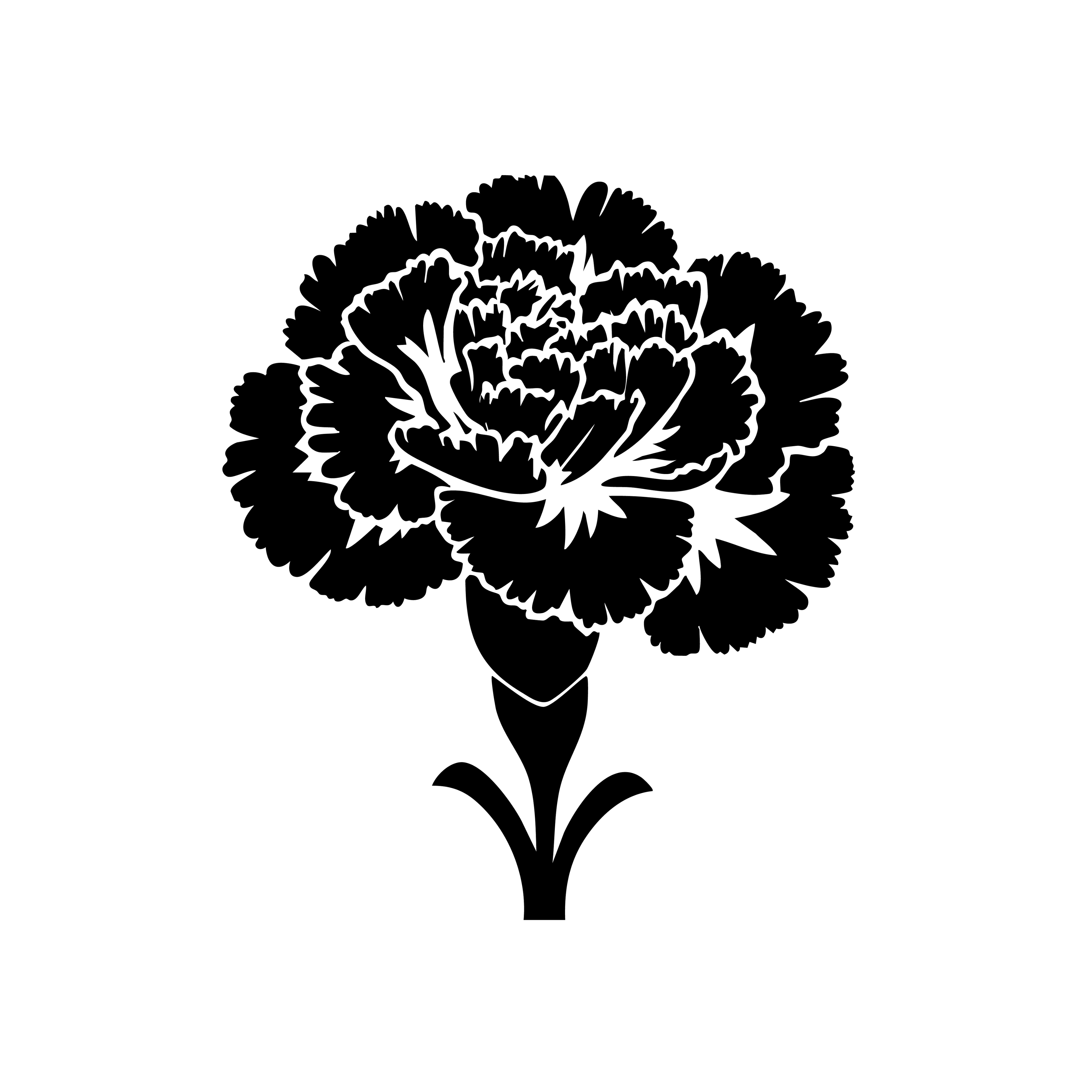 Vinyl Decal / Laptop Sticker/ Car Decal / Phone Sticker Carnation