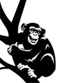 Vinyl Decal / Laptop Sticker/ Car Decal / Phone Sticker Chimpanzee