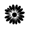 Vinyl Decal / Laptop Sticker/ Car Decal / Phone Sticker Daisy