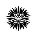 Vinyl Decal / Laptop Sticker/ Car Decal / Phone Sticker Fireworks
