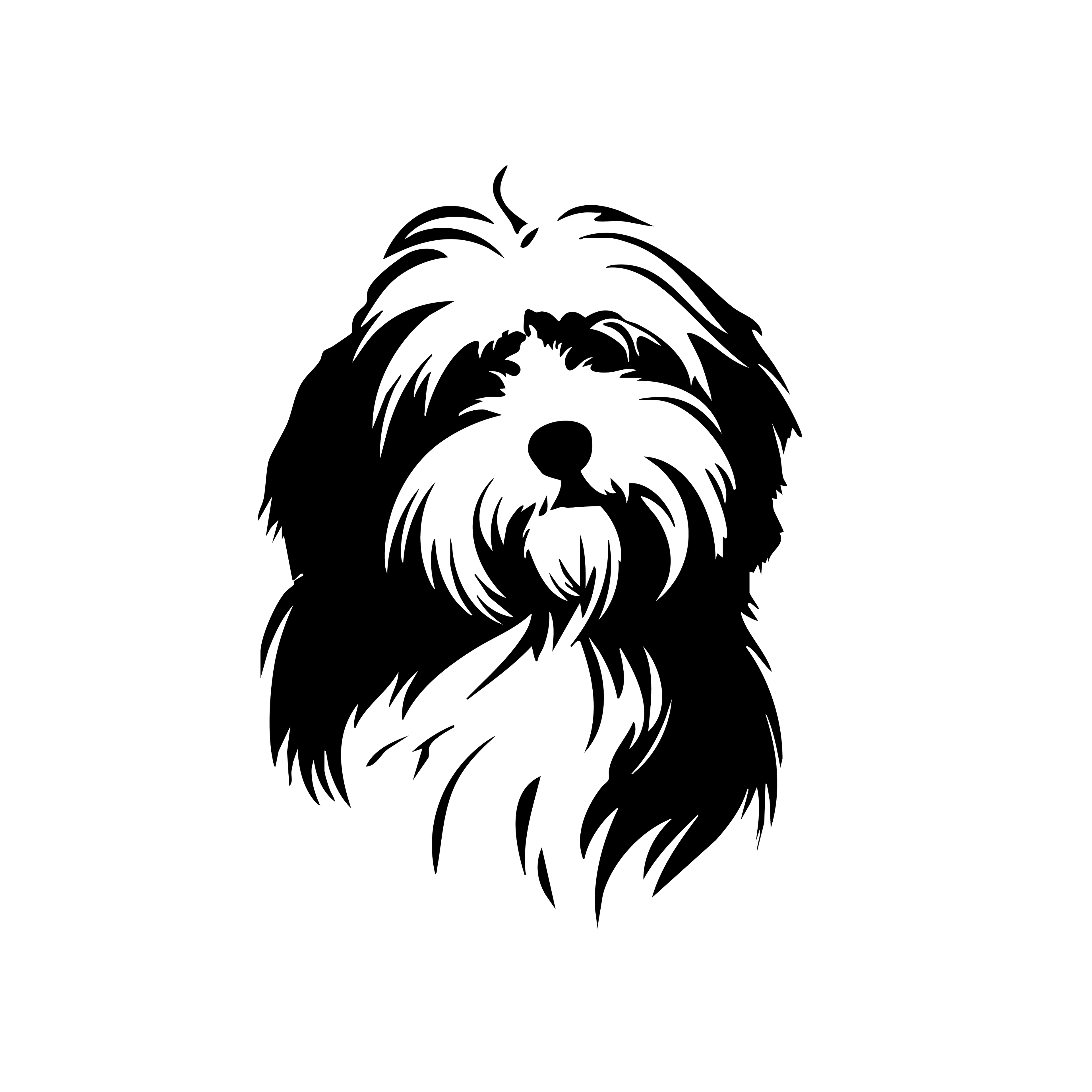 Vinyl Decal / Laptop Sticker/ Car Decal / Phone Sticker Havenese