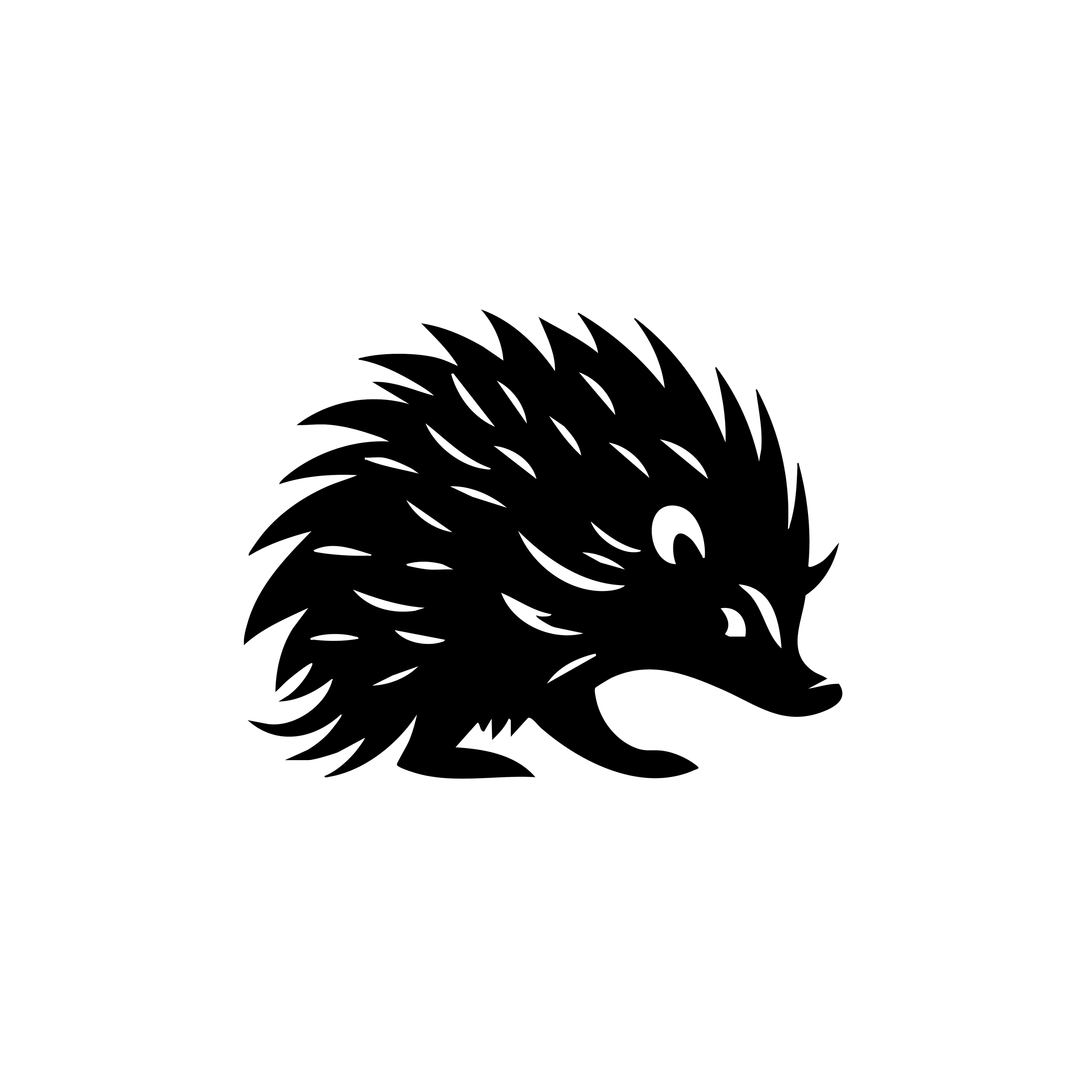 Vinyl Decal / Laptop Sticker/ Car Decal / Phone Sticker Hedgehog