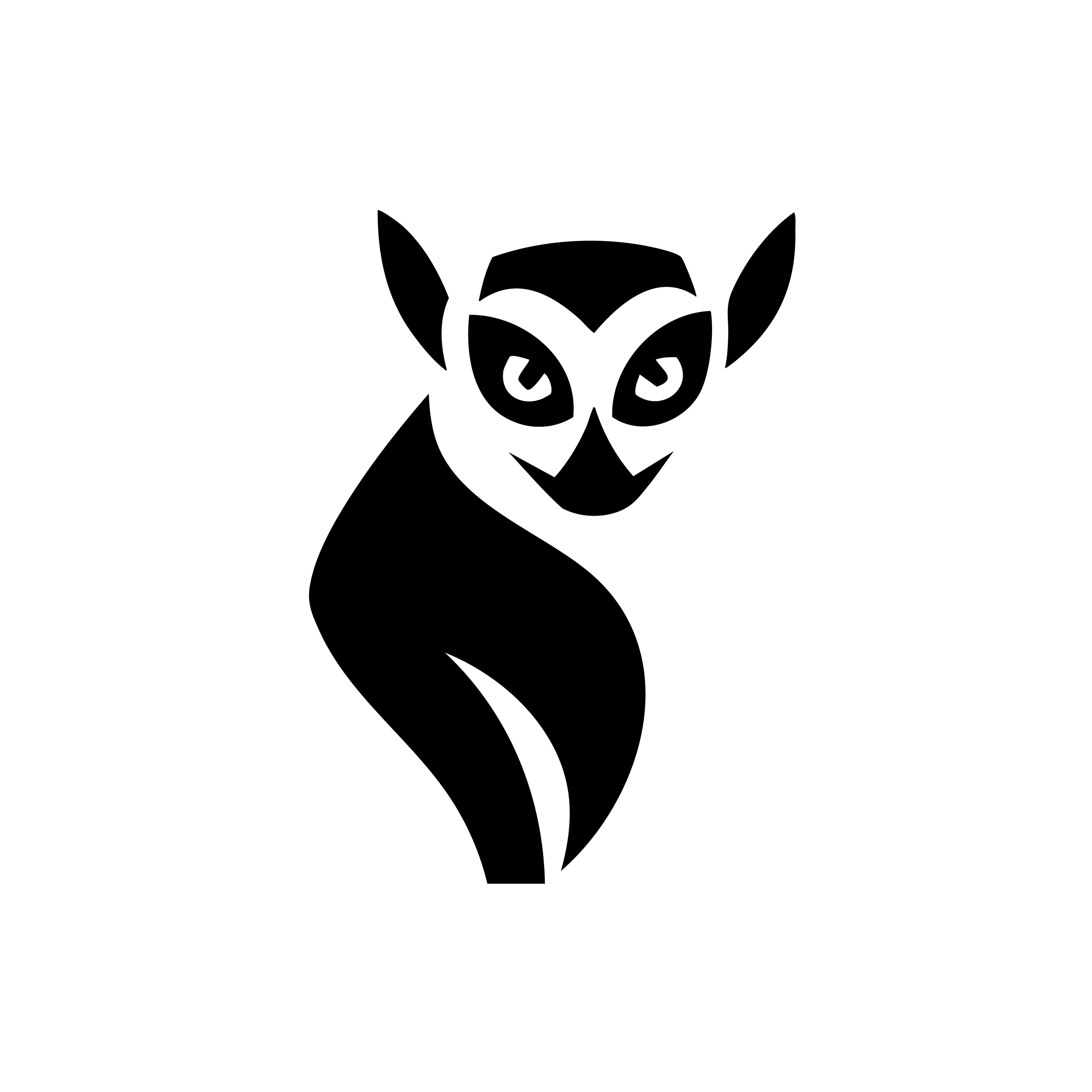 Vinyl Decal / Laptop Sticker/ Car Decal / Phone Sticker Lemur