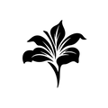 Vinyl Decal / Laptop Sticker/ Car Decal / Phone Sticker Lily