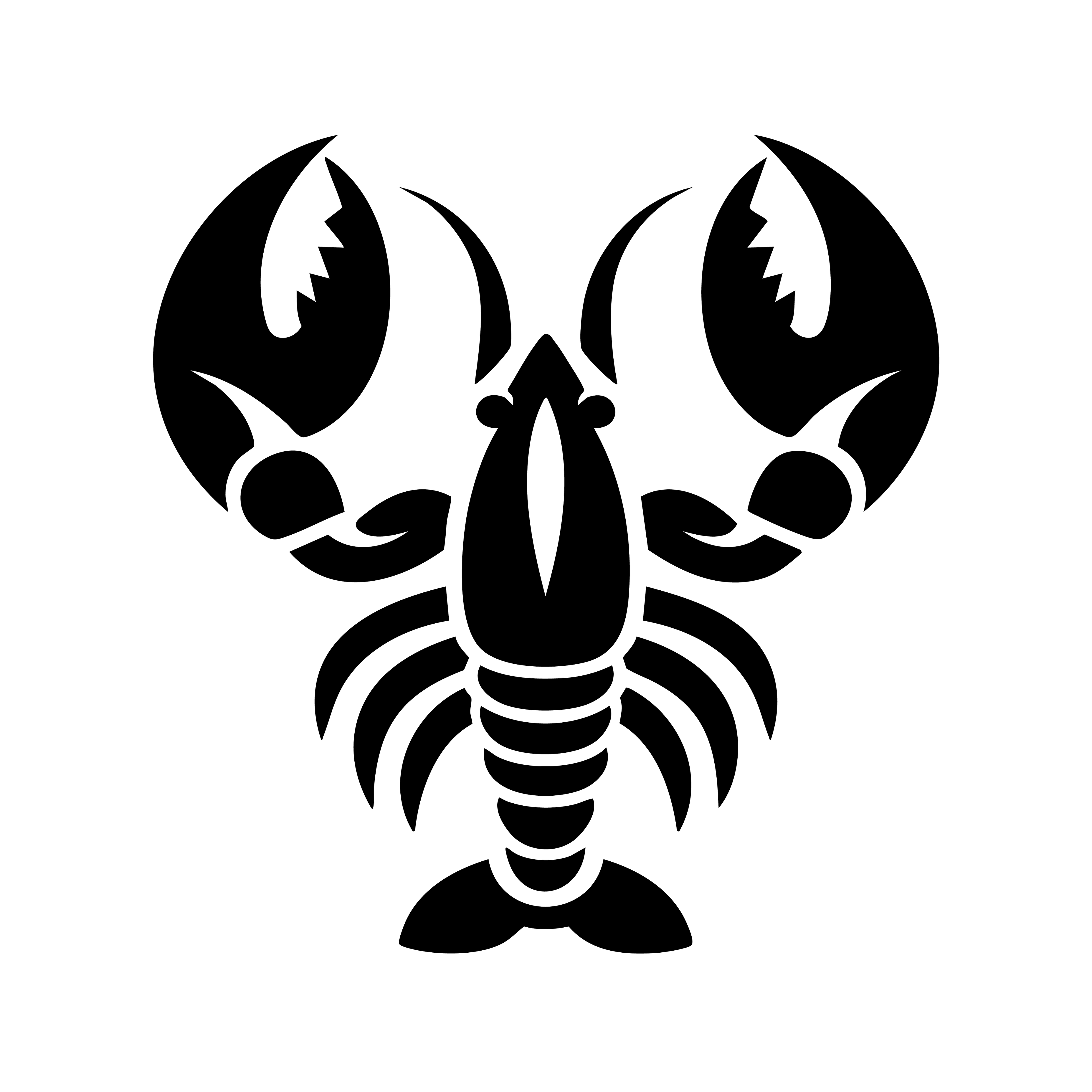 Vinyl Decal / Laptop Sticker/ Car Decal / Phone Sticker Lobster